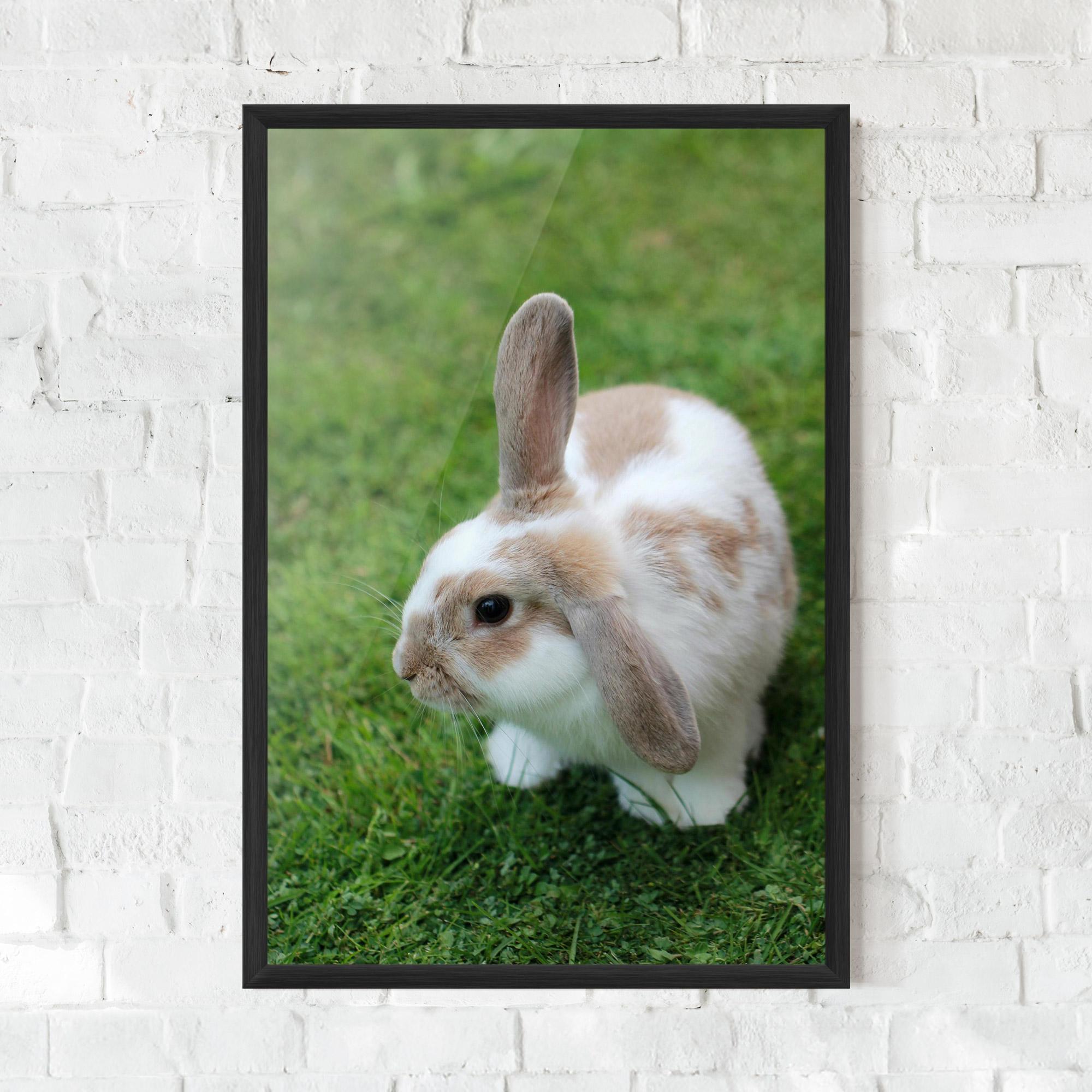 Plakat w Ramie Light Orange Bunny mockup 0