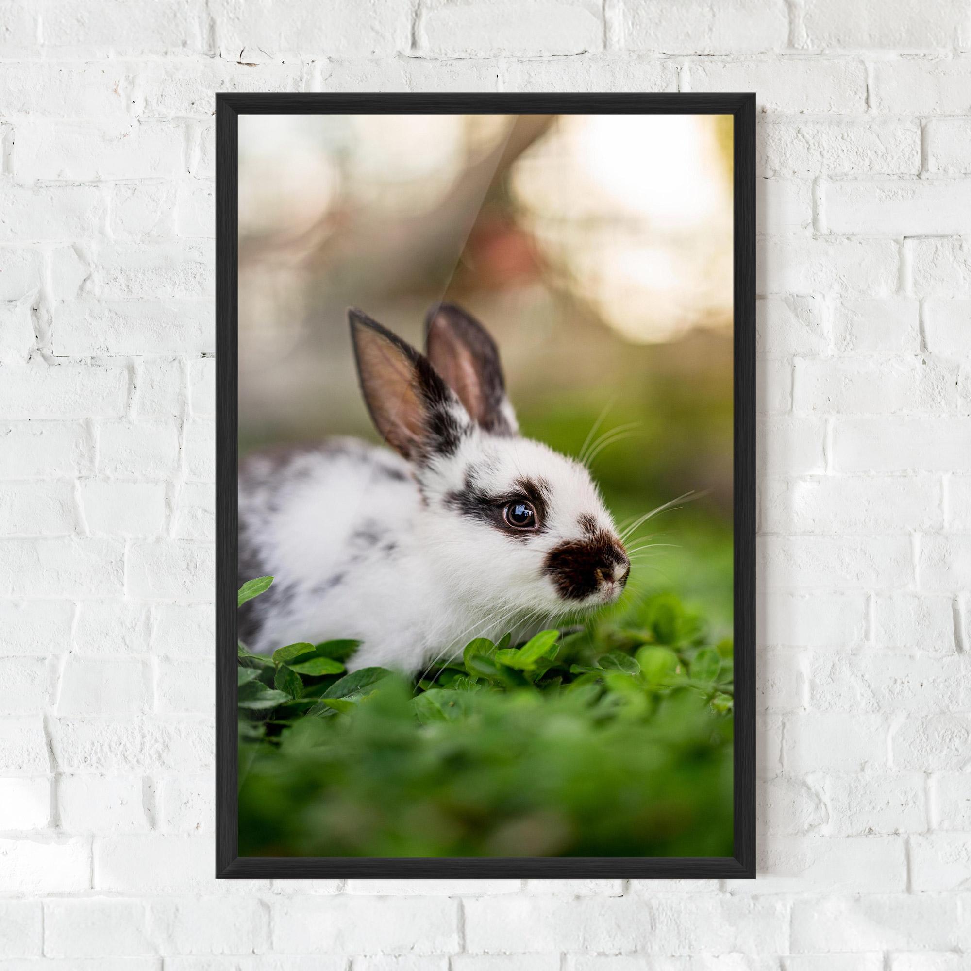 Plakat w Ramie White Black Bunny mockup 0