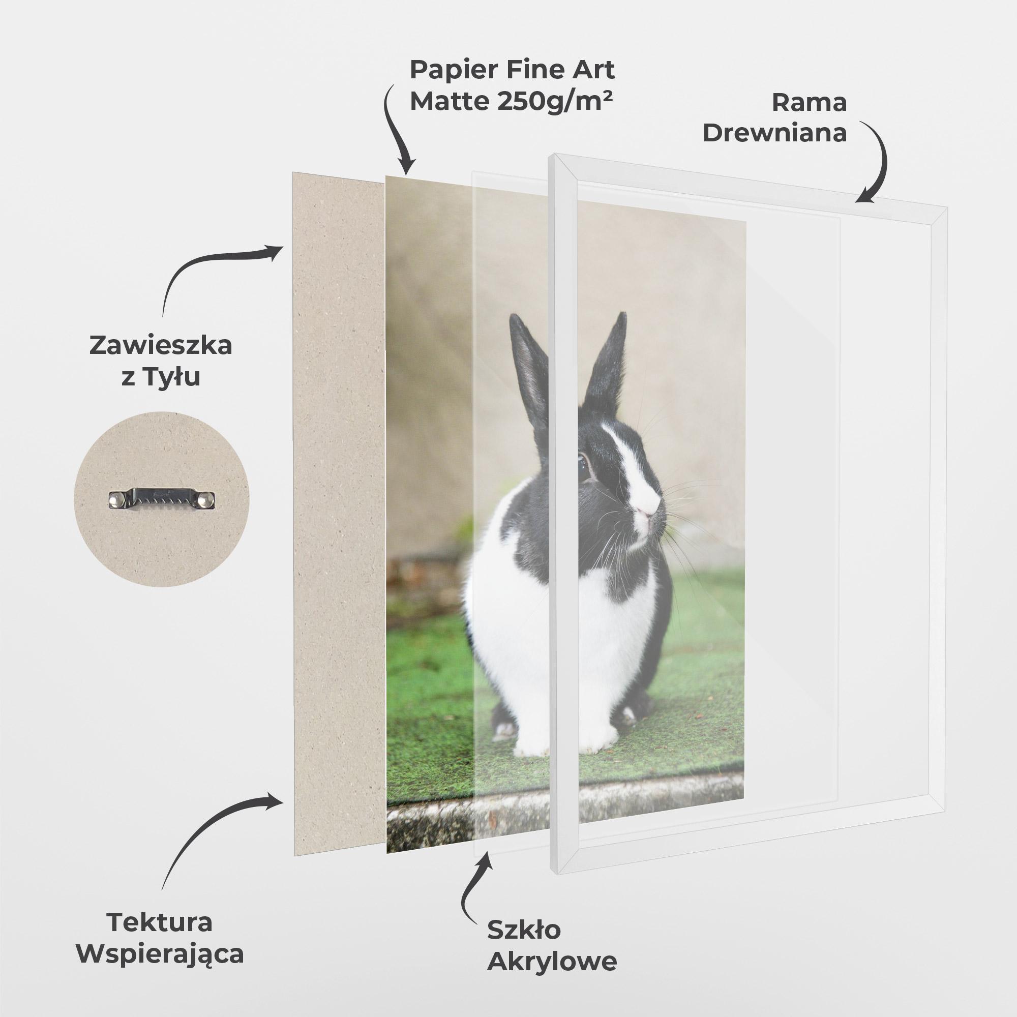 Plakat w Ramie Black Ear Rabbit mockup 1