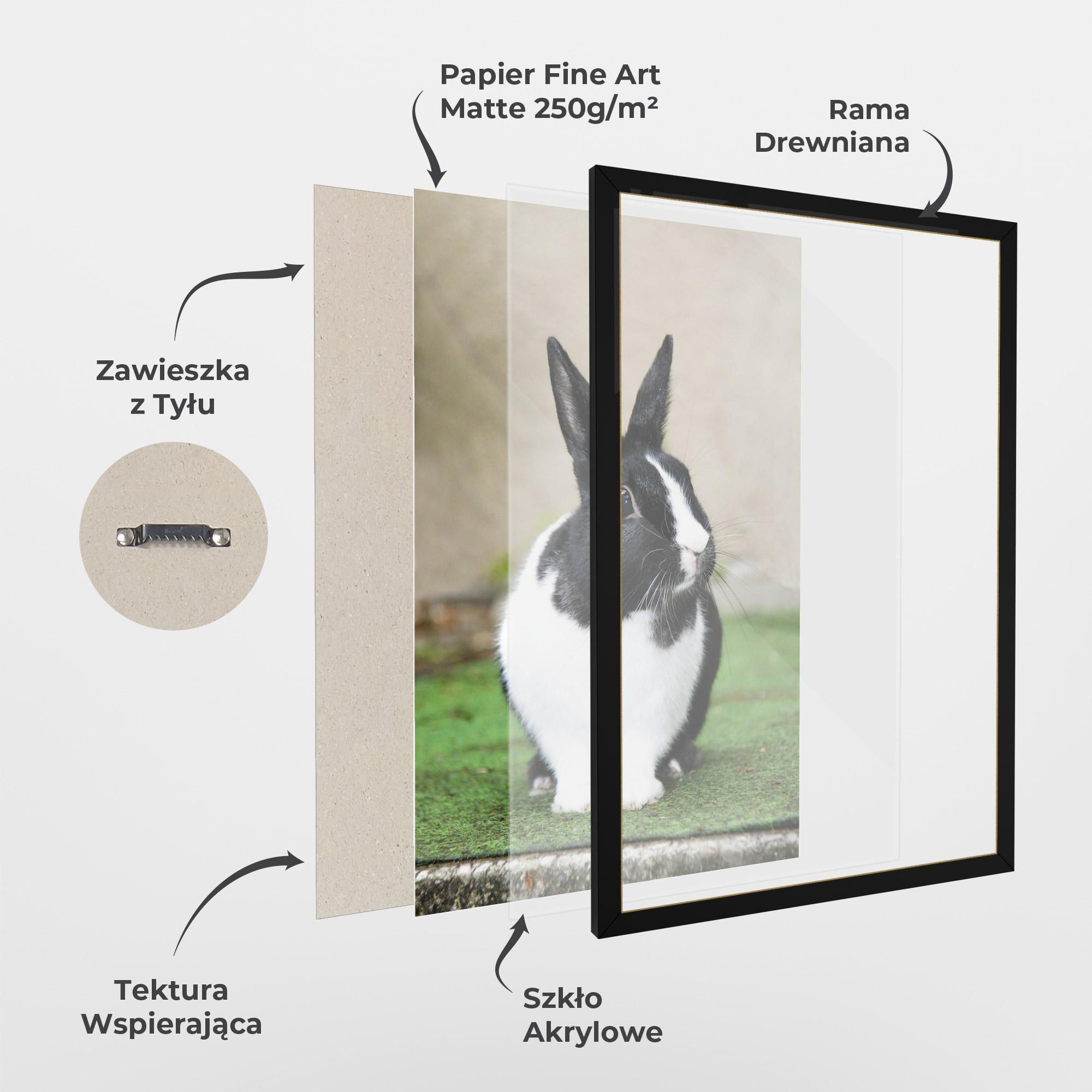 Plakat w Ramie Black Ear Rabbit mockup 1