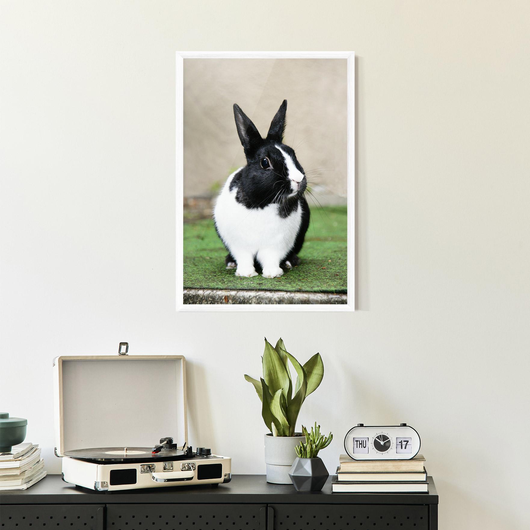 Plakat w Ramie Black Ear Rabbit mockup 2