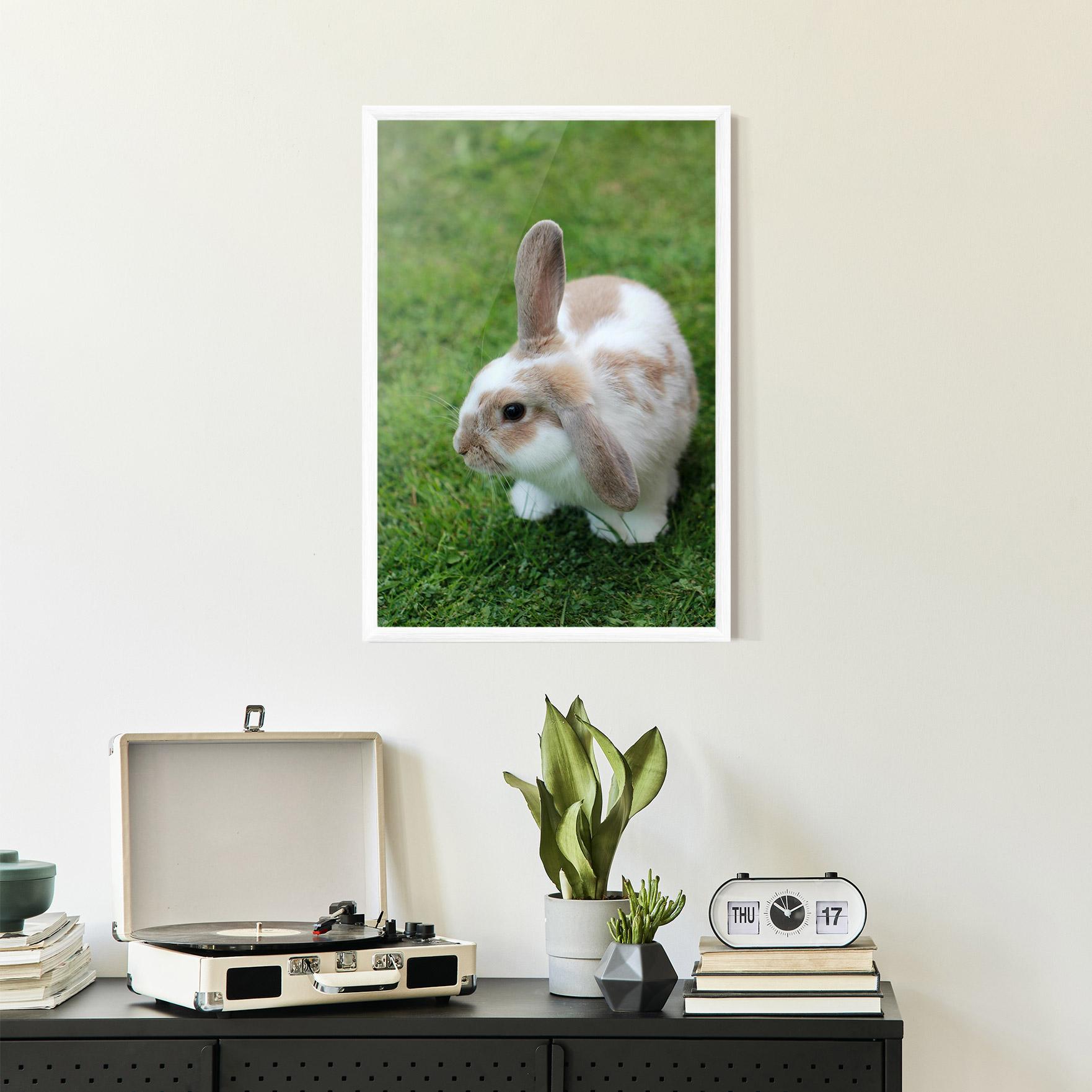 Plakat w Ramie Light Orange Bunny mockup 2