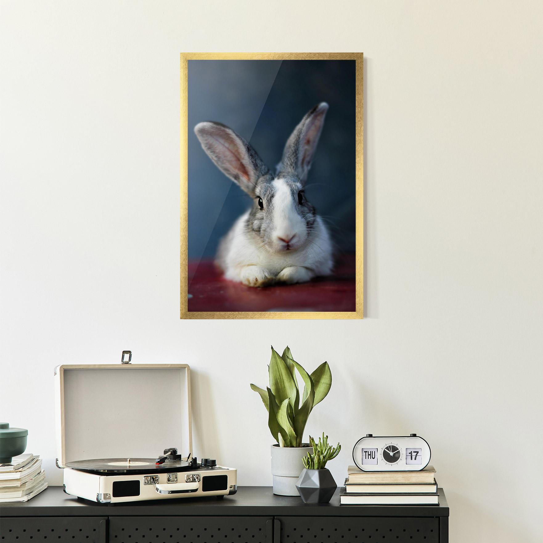 Plakat w Ramie Cute Grey Bunny mockup 2