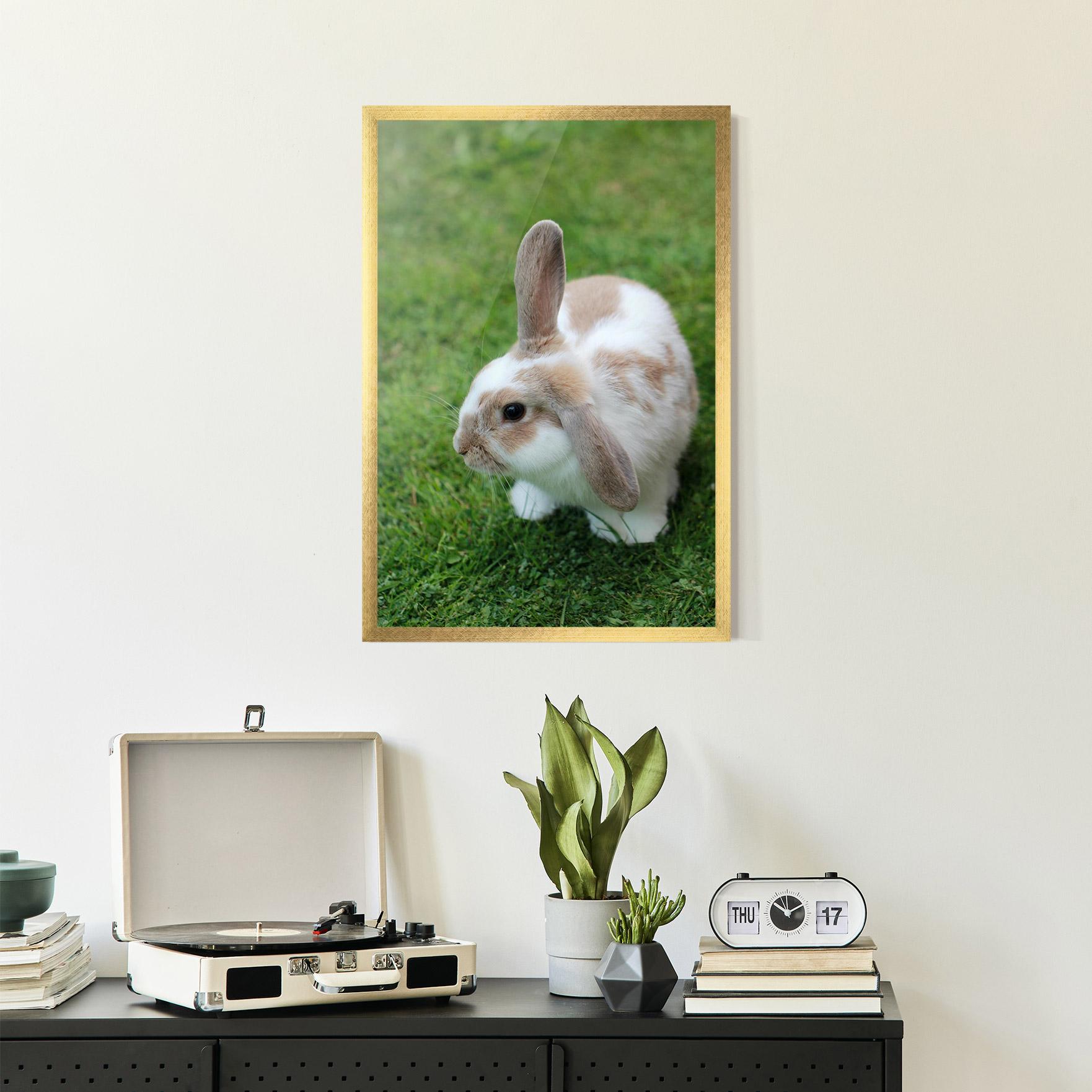 Plakat w Ramie Light Orange Bunny mockup 2