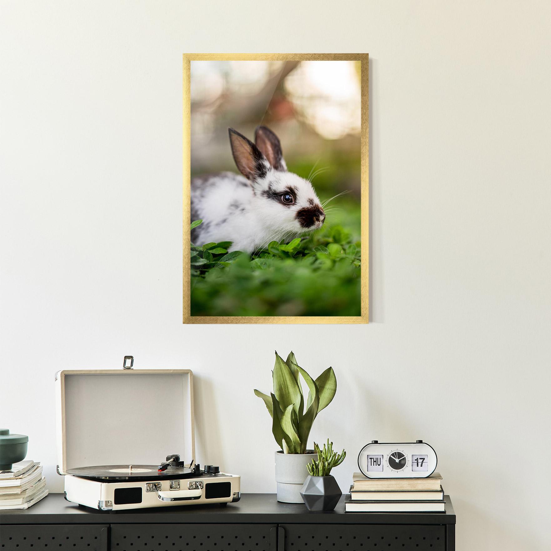 Plakat w Ramie White Black Bunny mockup 2