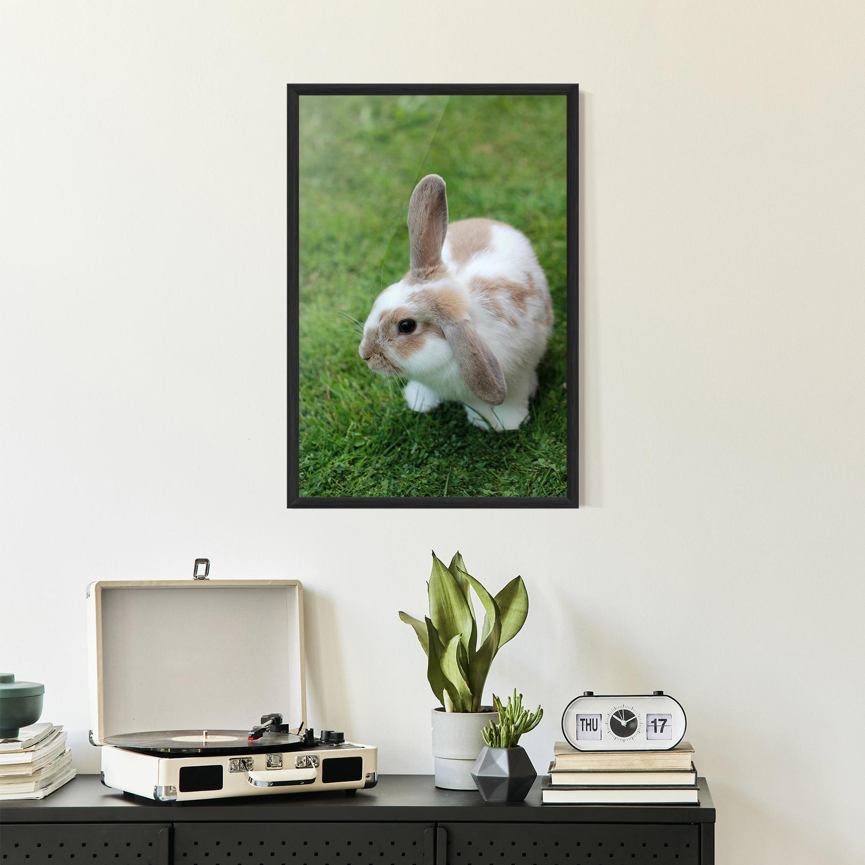 Plakat w Ramie Light Orange Bunny mockup 2