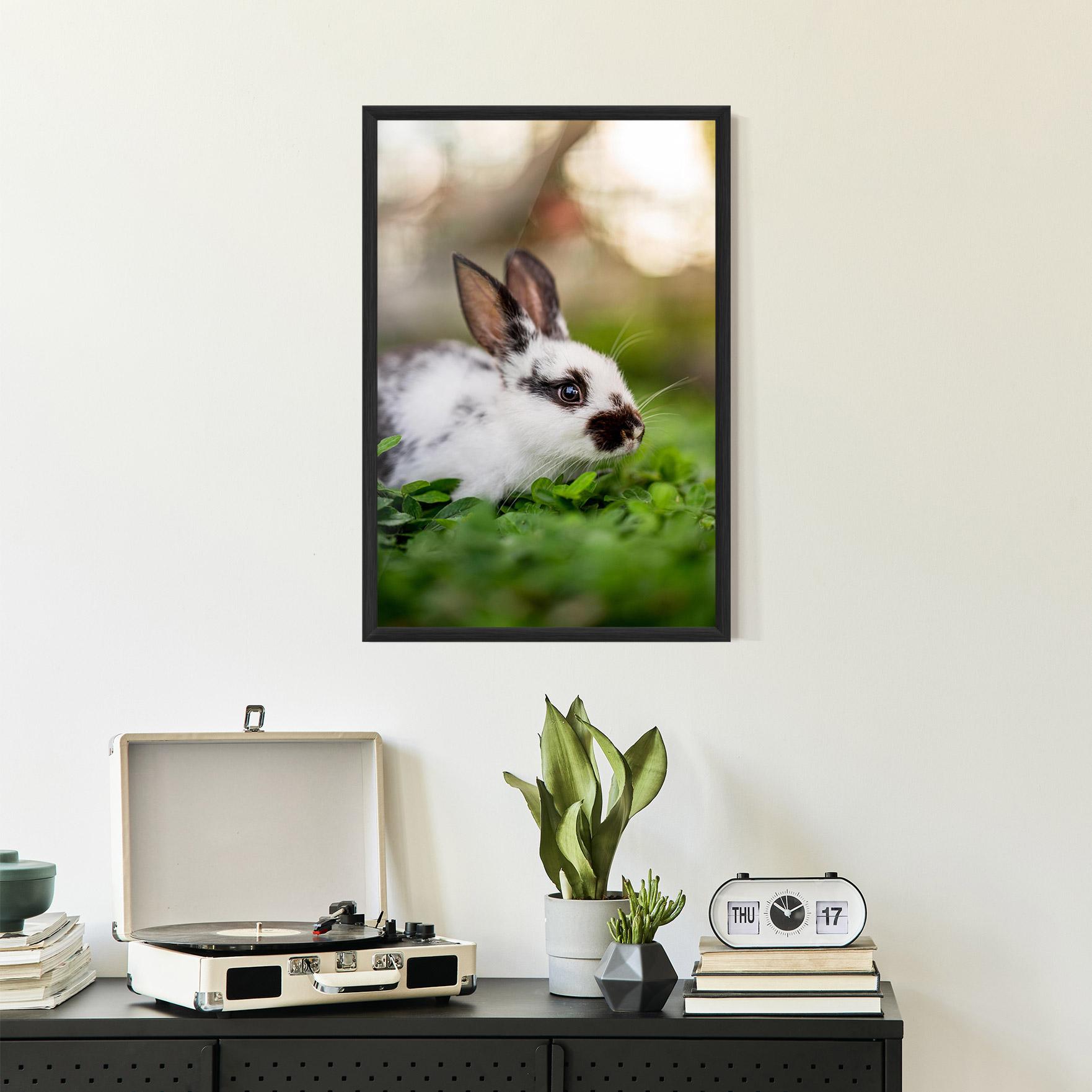 Plakat w Ramie White Black Bunny mockup 2