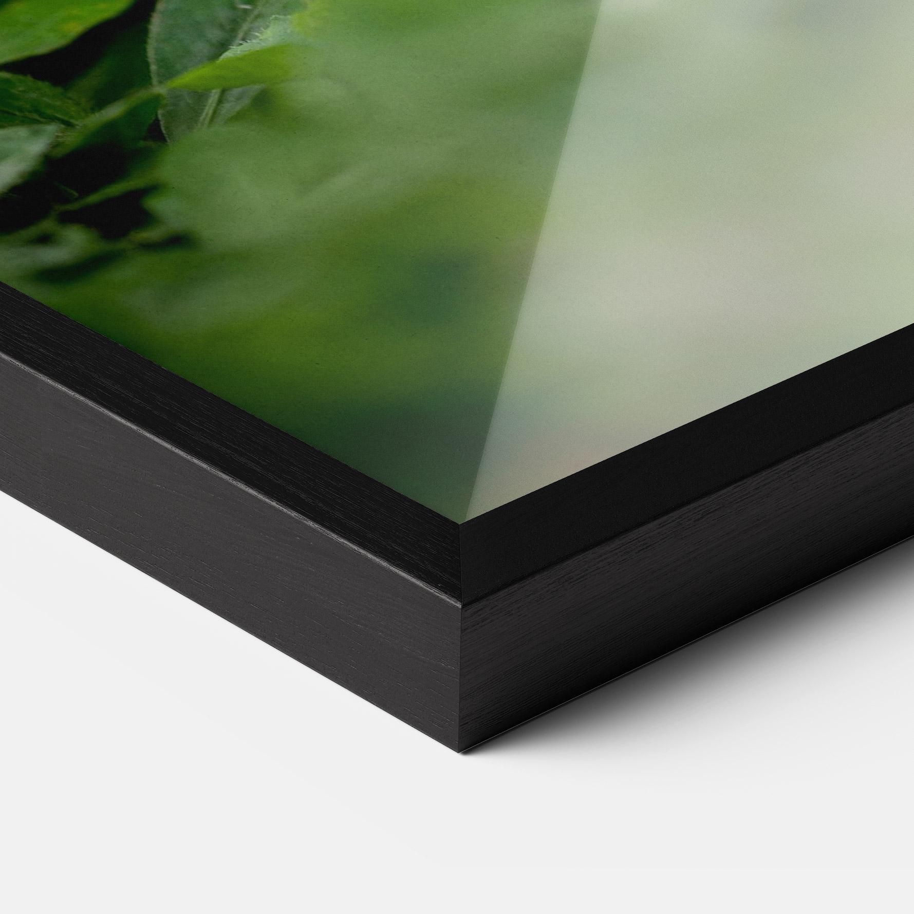 Plakat w Ramie White Black Bunny mockup 3