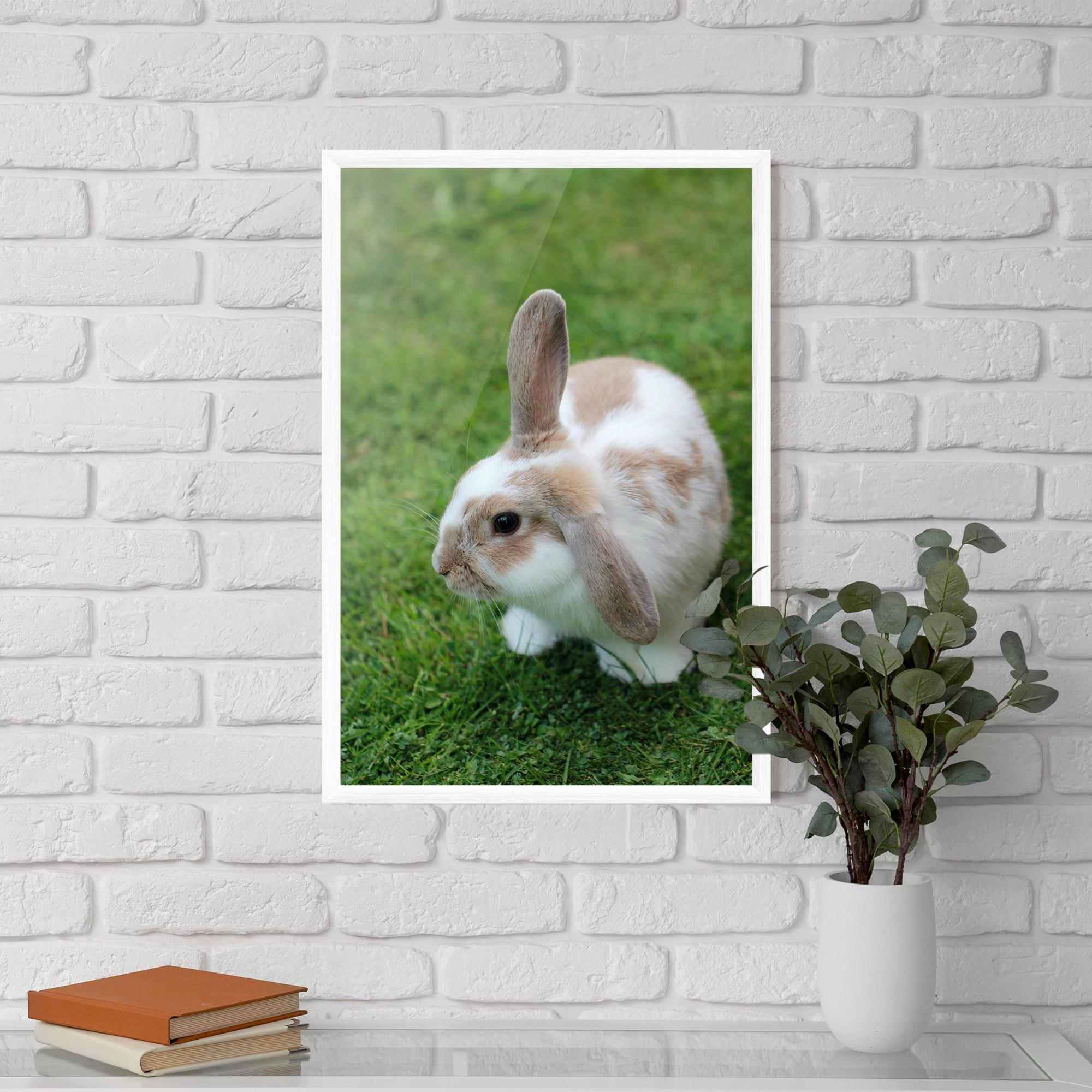 Plakat w Ramie Light Orange Bunny mockup 5