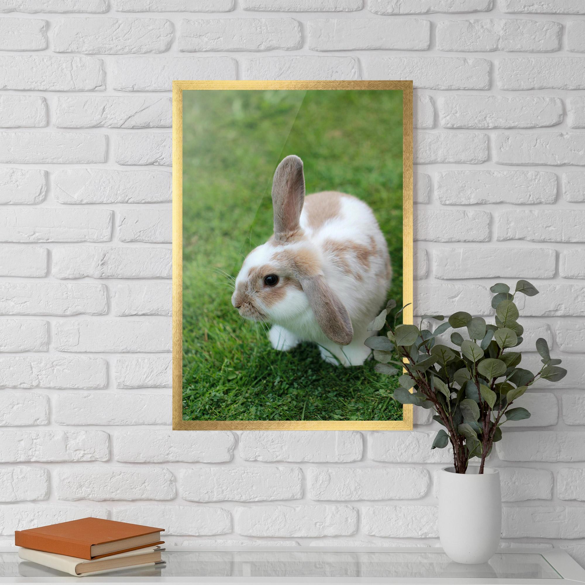 Plakat w Ramie Light Orange Bunny mockup 5