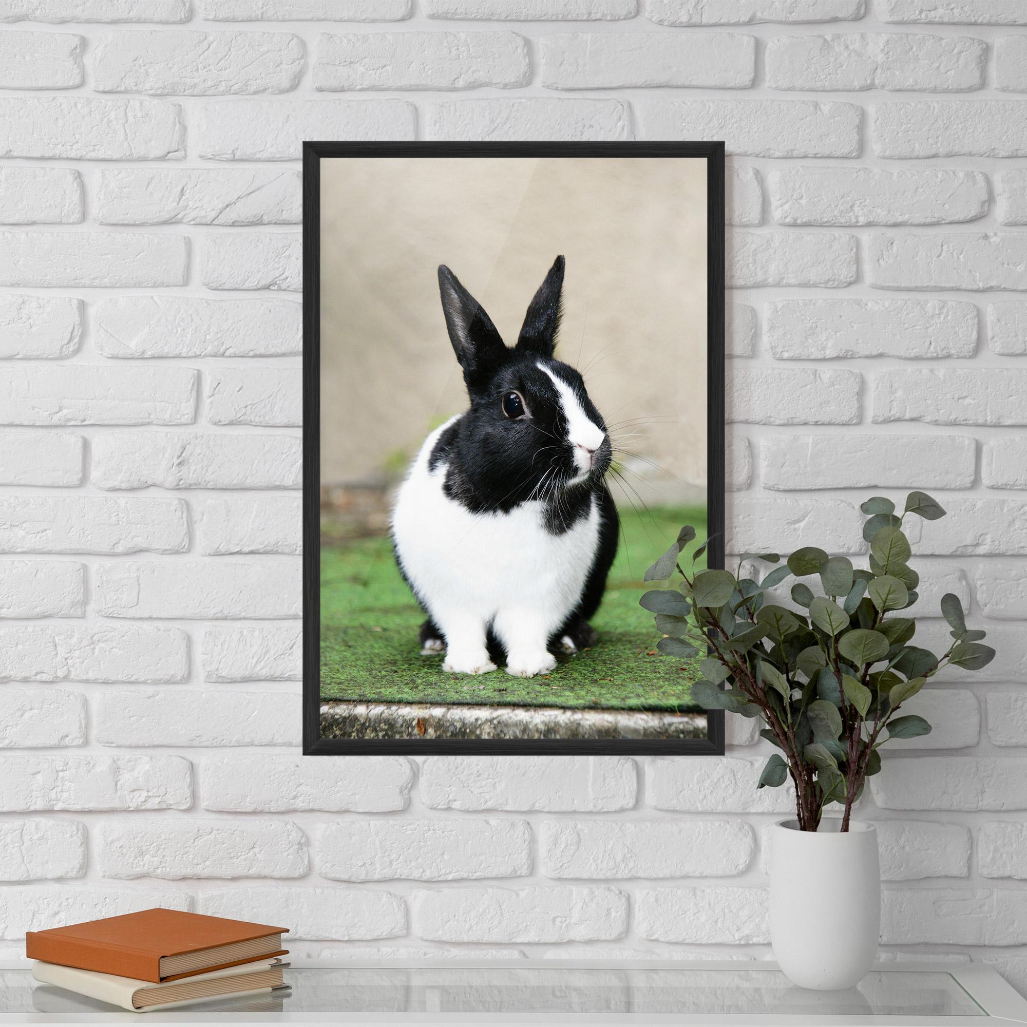 Plakat w Ramie Black Ear Rabbit mockup 5