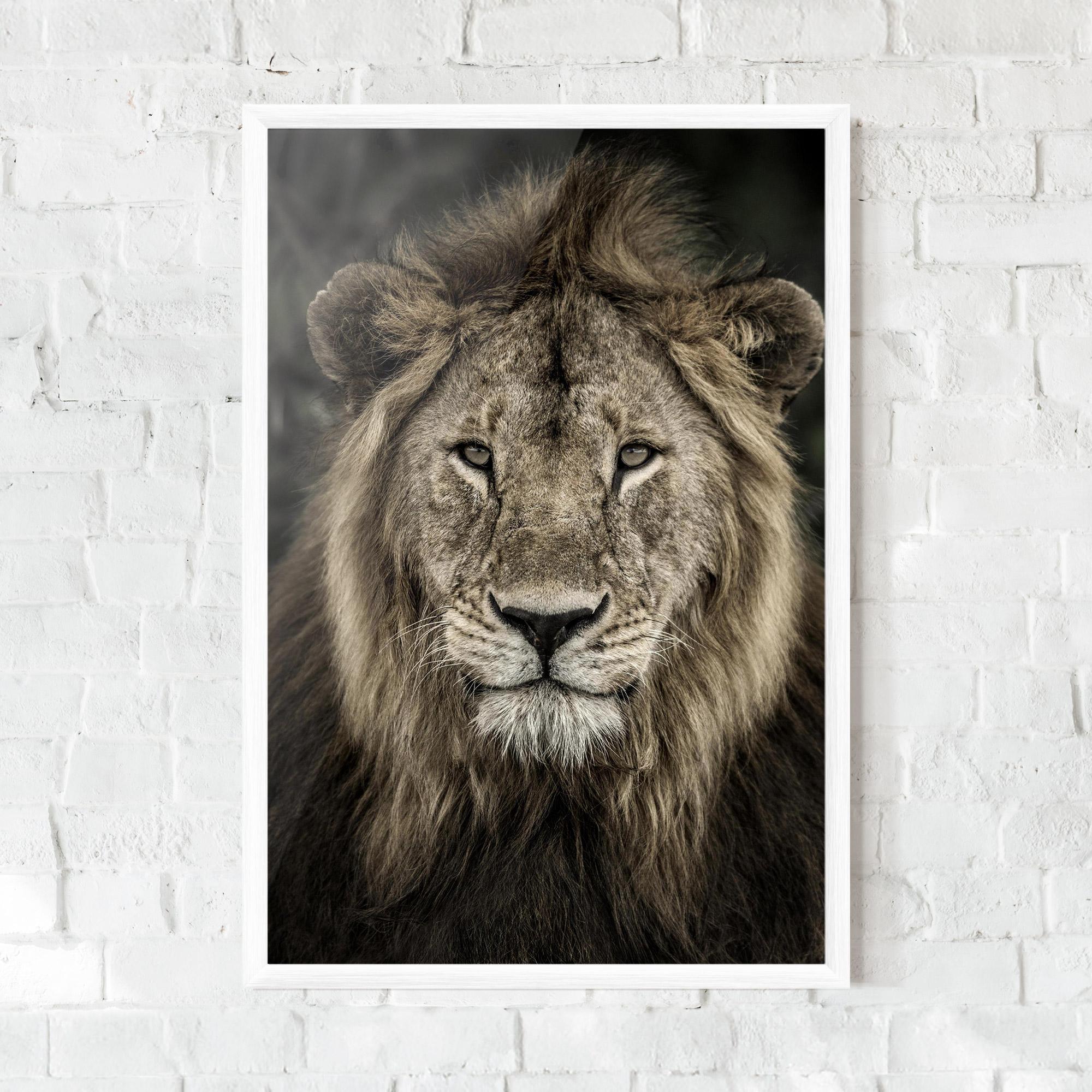 Plakat w Ramie Lion Close Up mockup 0