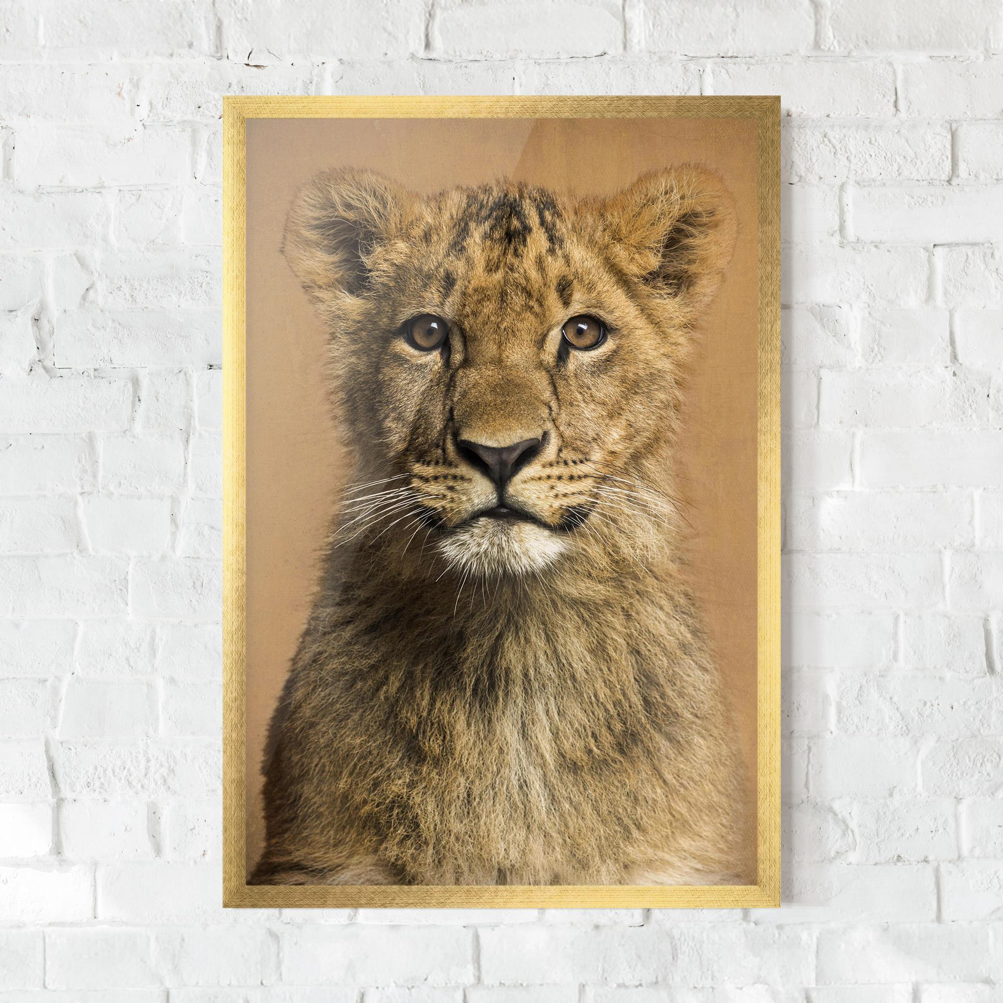 Plakat w Ramie Baby Lion mockup 0