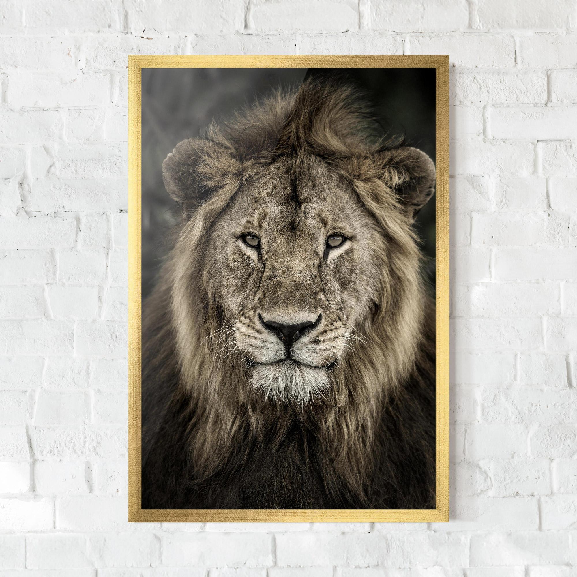Plakat w Ramie Lion Close Up mockup 0