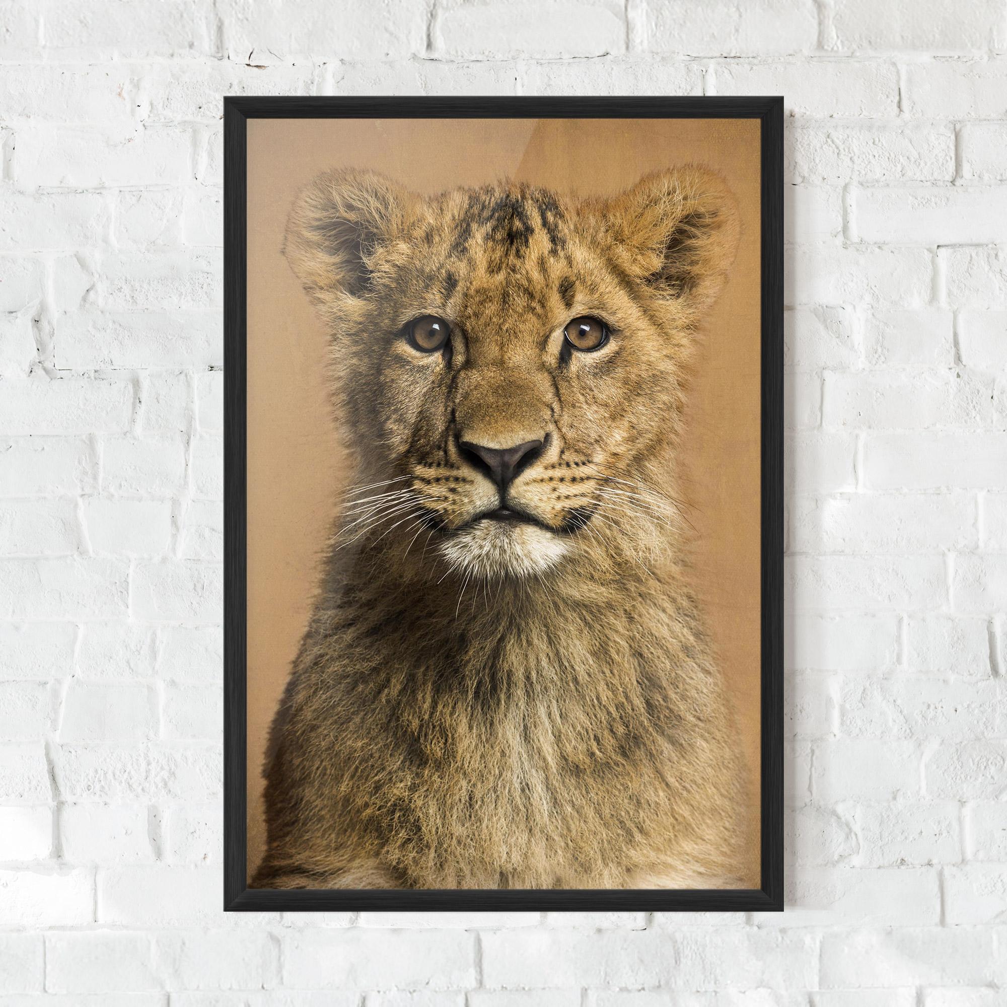 Plakat w Ramie Baby Lion mockup 0