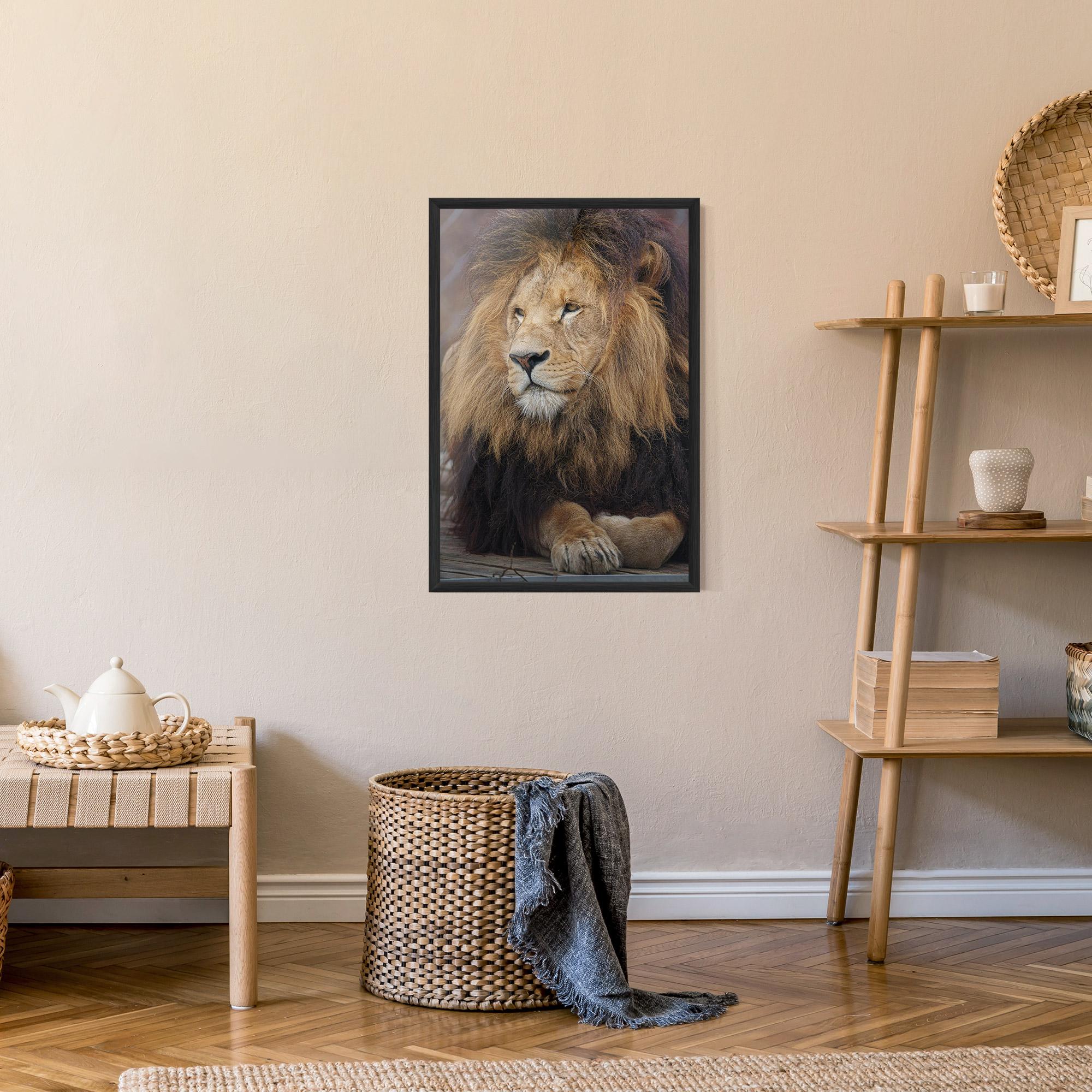 Plakat w Ramie Lion Chilling mockup 9