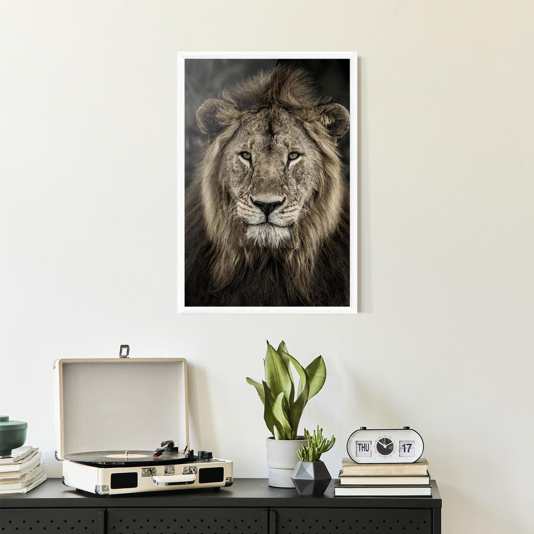Plakat w Ramie Lion Close Up mockup 2