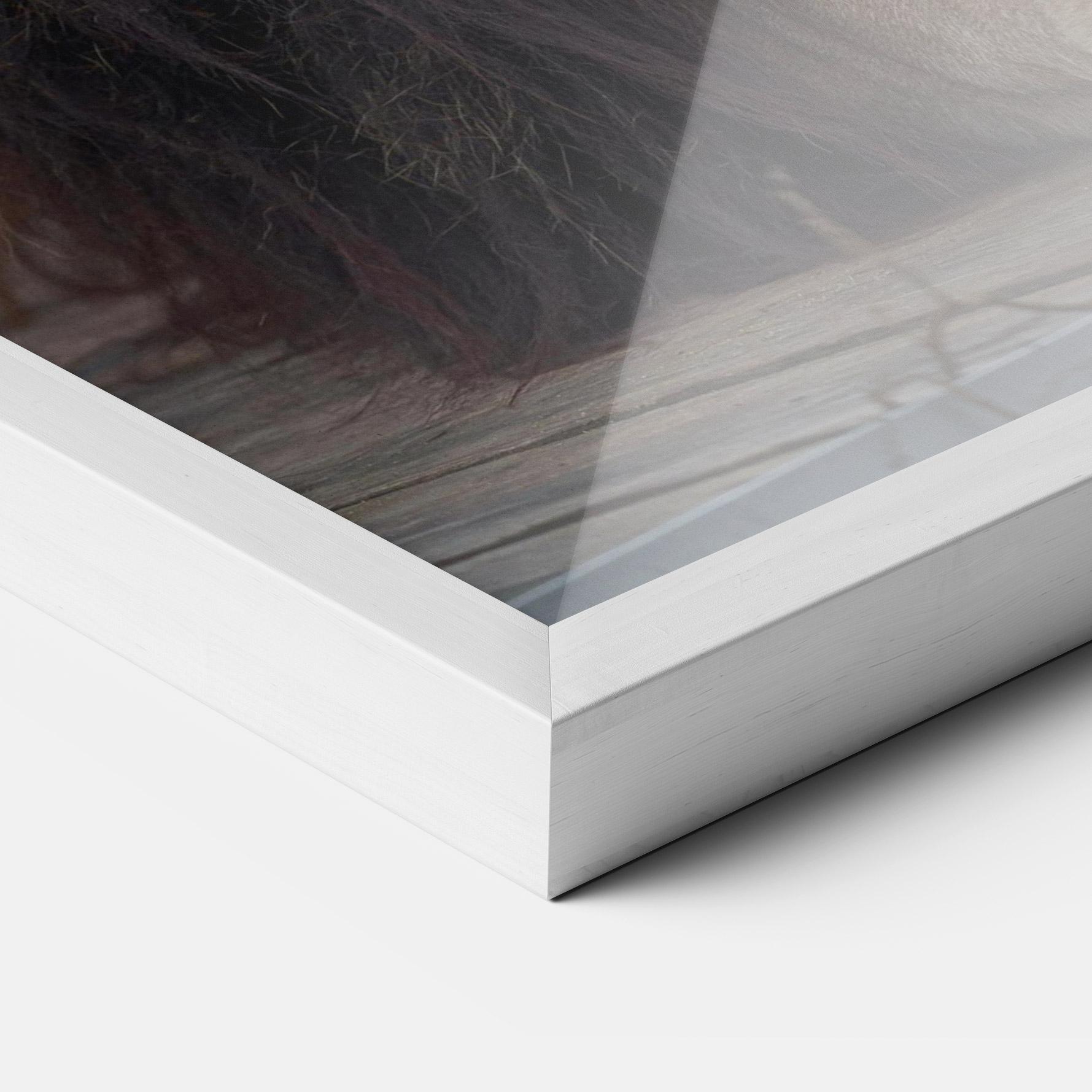 Plakat w Ramie Lion Chilling mockup 3