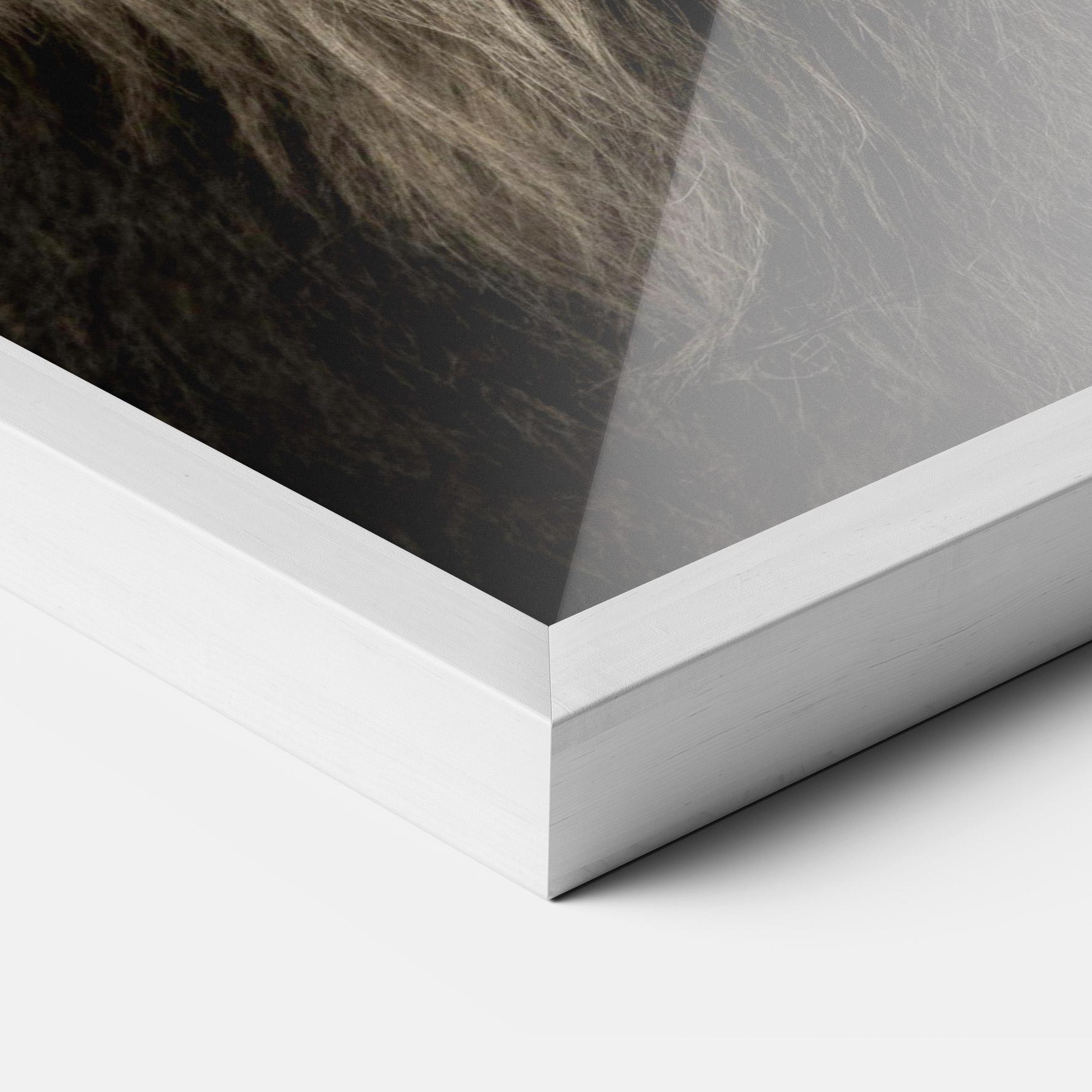 Plakat w Ramie Lion Close Up mockup 3