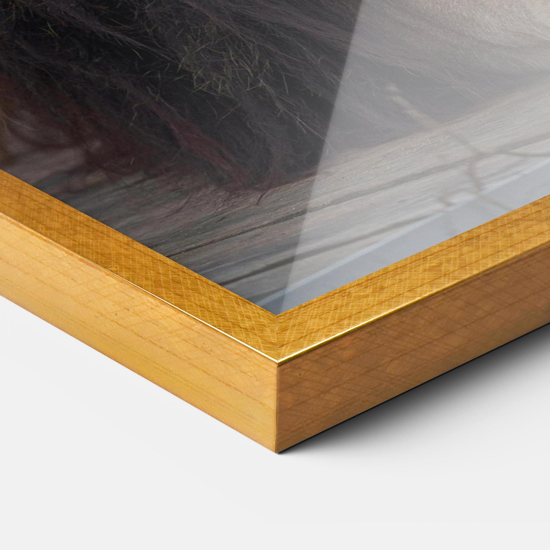 Plakat w Ramie Lion Chilling mockup 3