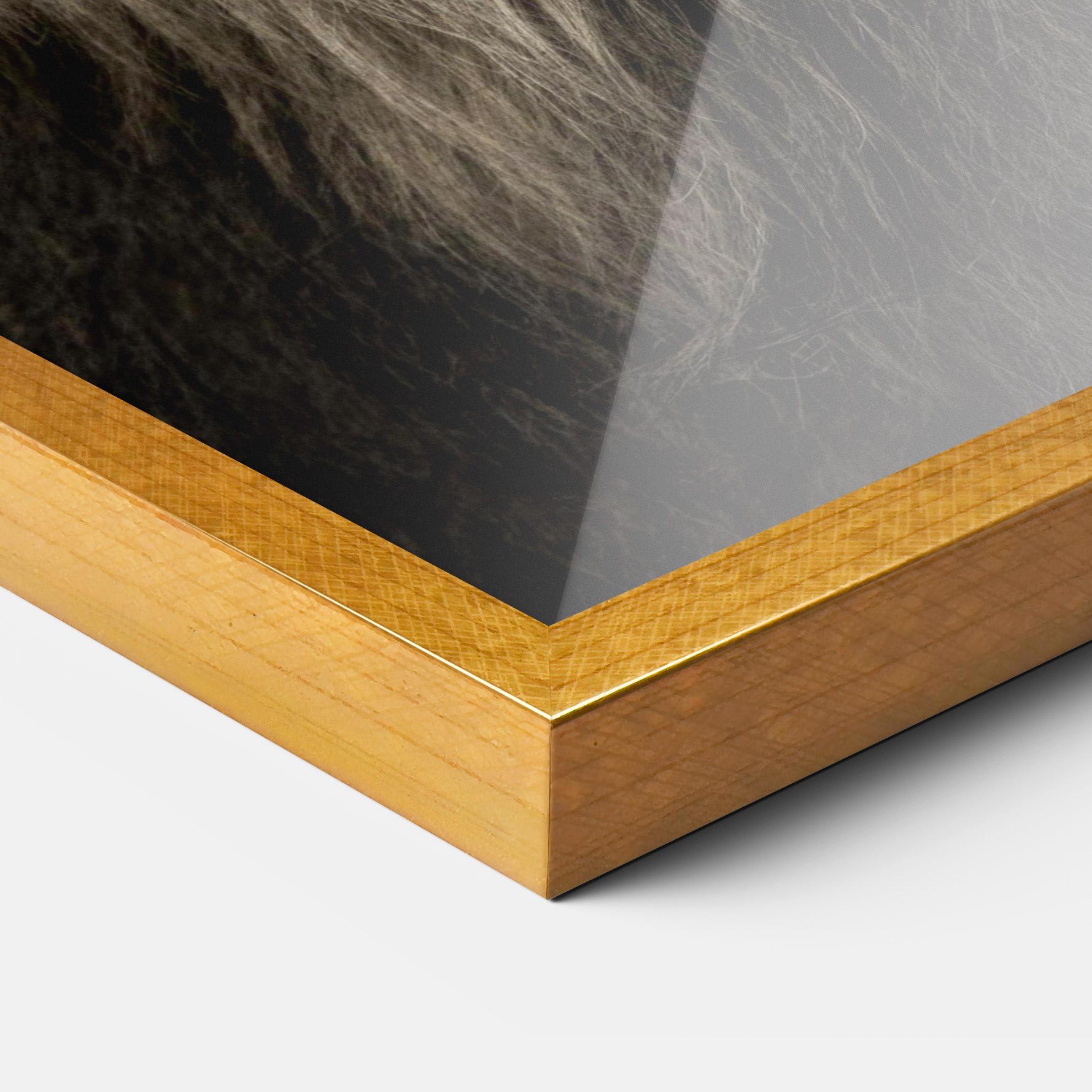 Plakat w Ramie Lion Close Up mockup 3