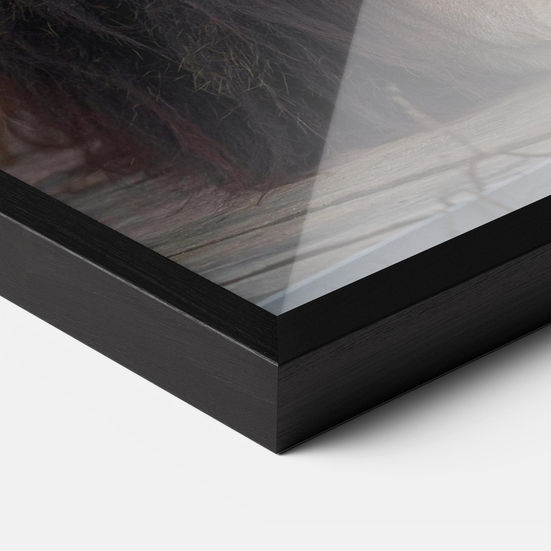 Plakat w Ramie Lion Chilling mockup 3