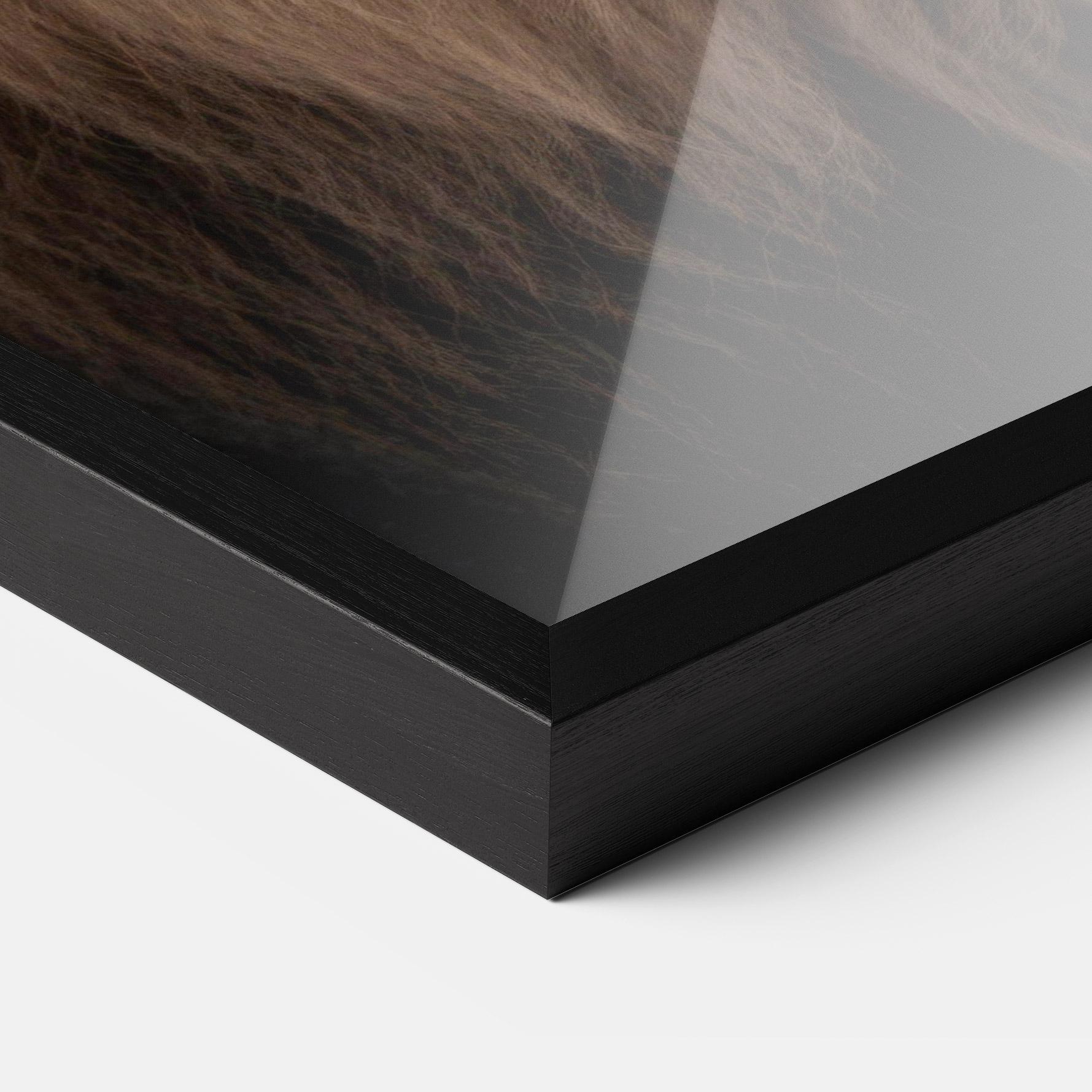 Plakat w Ramie Wild Lion View mockup 3