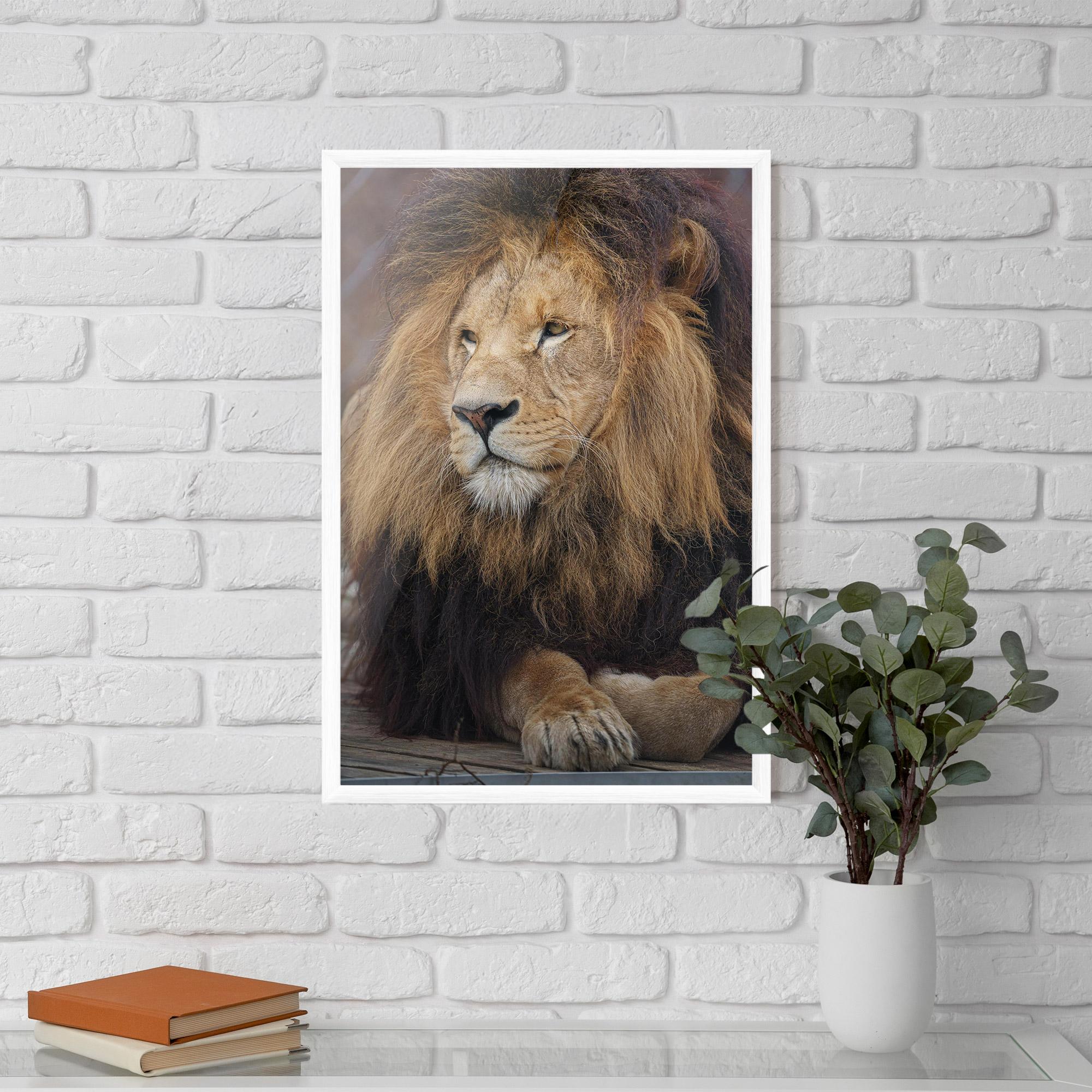 Plakat w Ramie Lion Chilling mockup 5