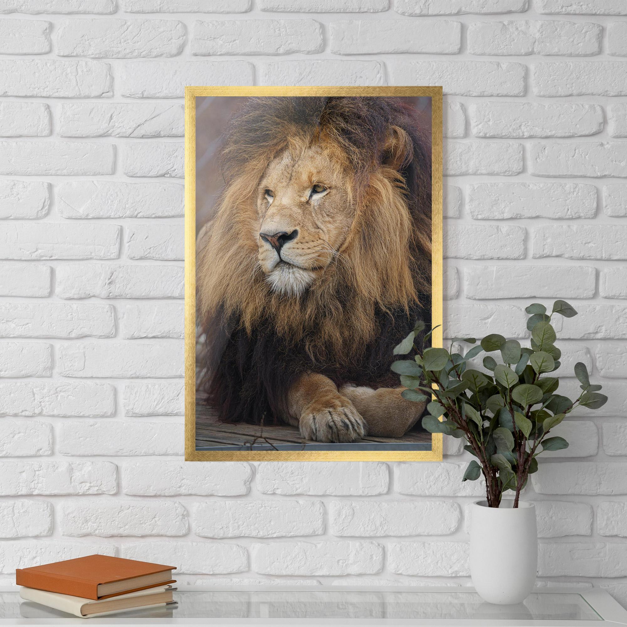 Plakat w Ramie Lion Chilling mockup 5