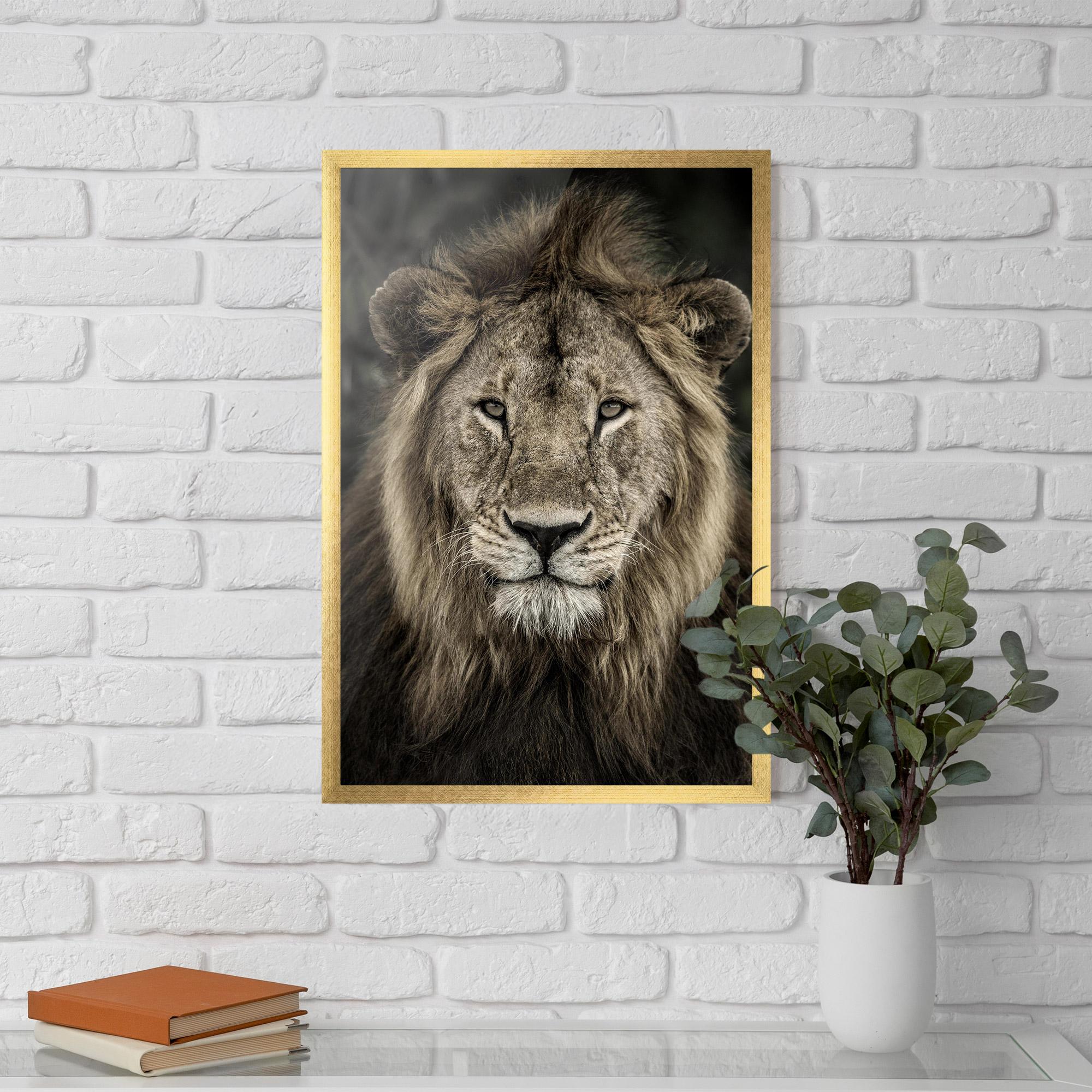 Plakat w Ramie Lion Close Up mockup 5