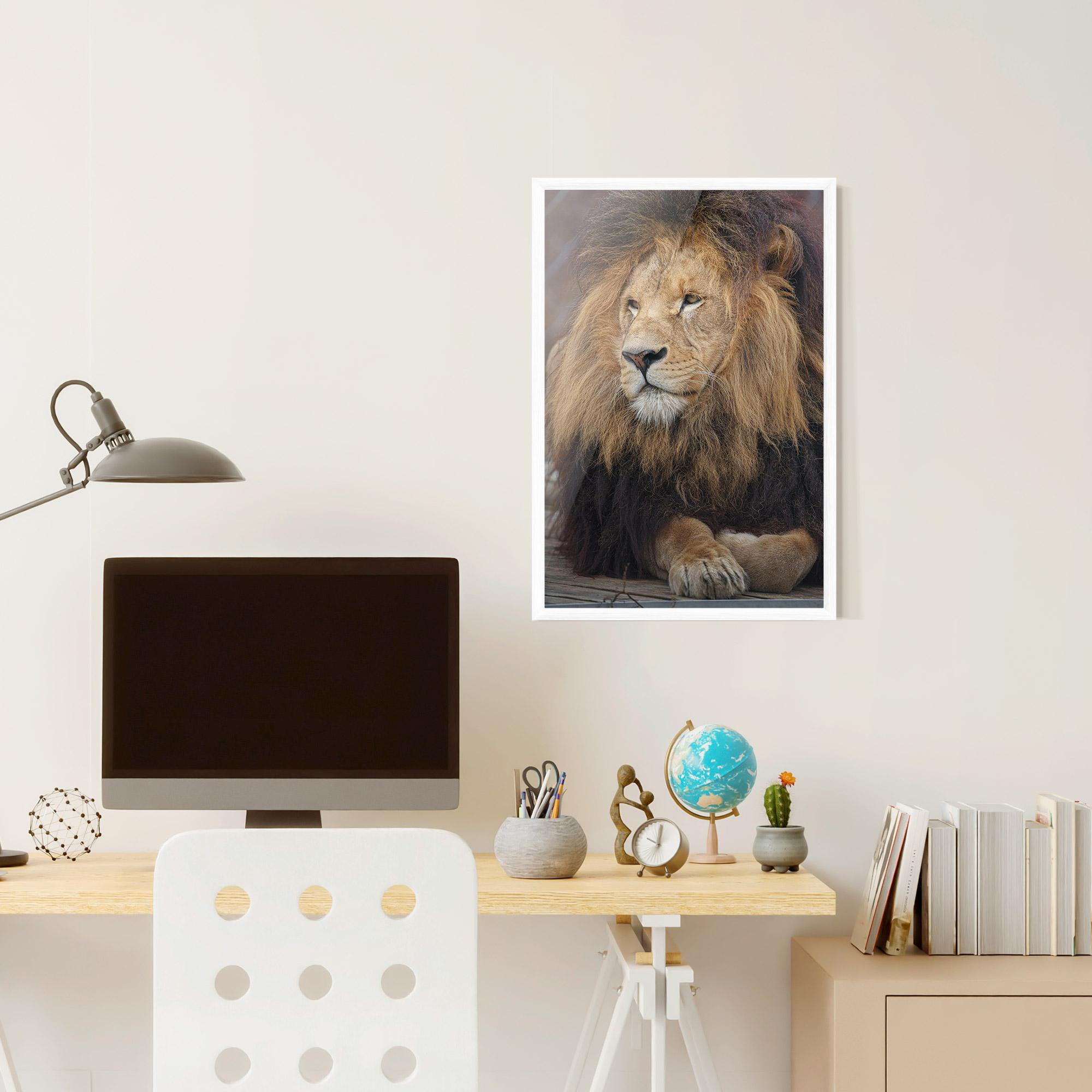 Plakat w Ramie Lion Chilling mockup 6