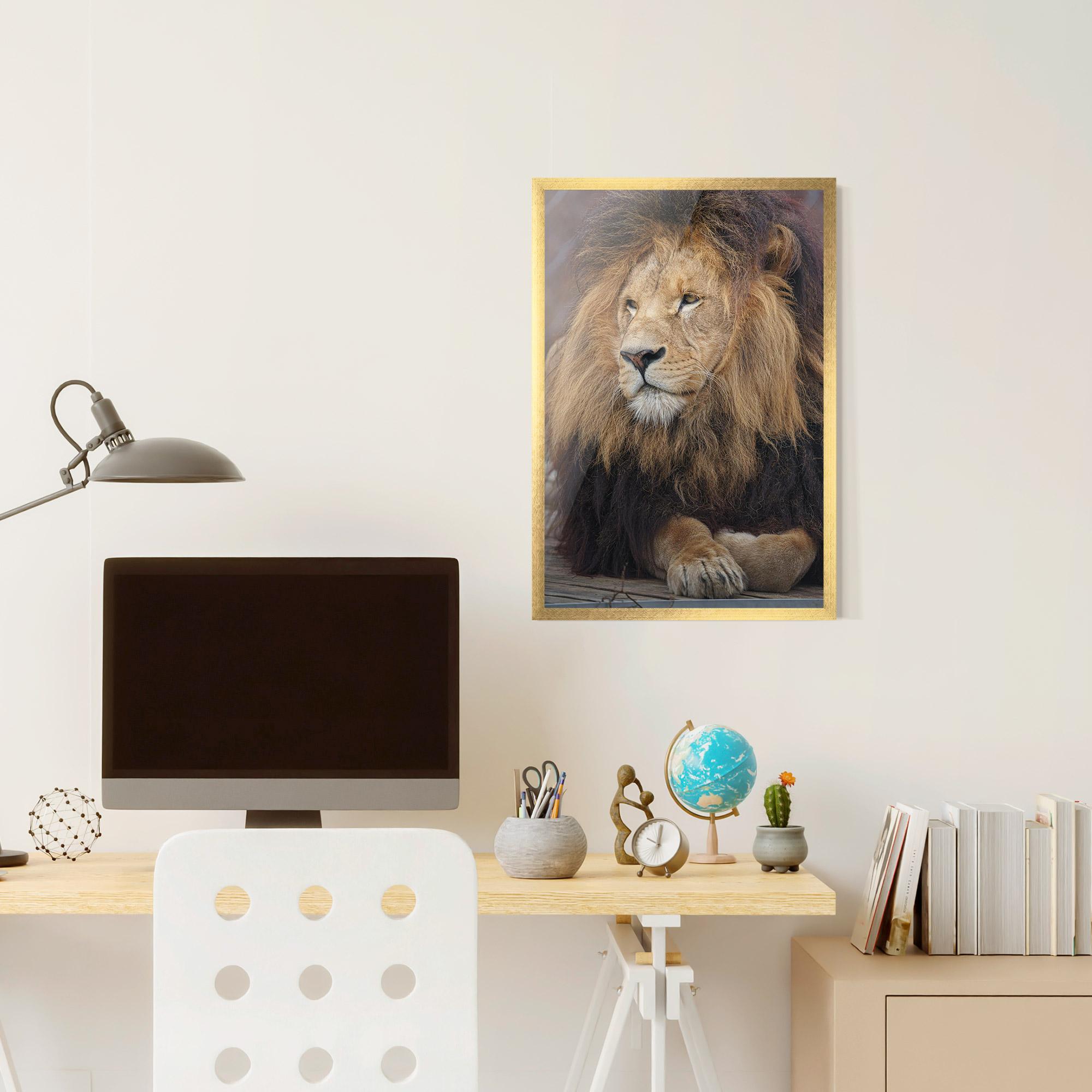 Plakat w Ramie Lion Chilling mockup 6