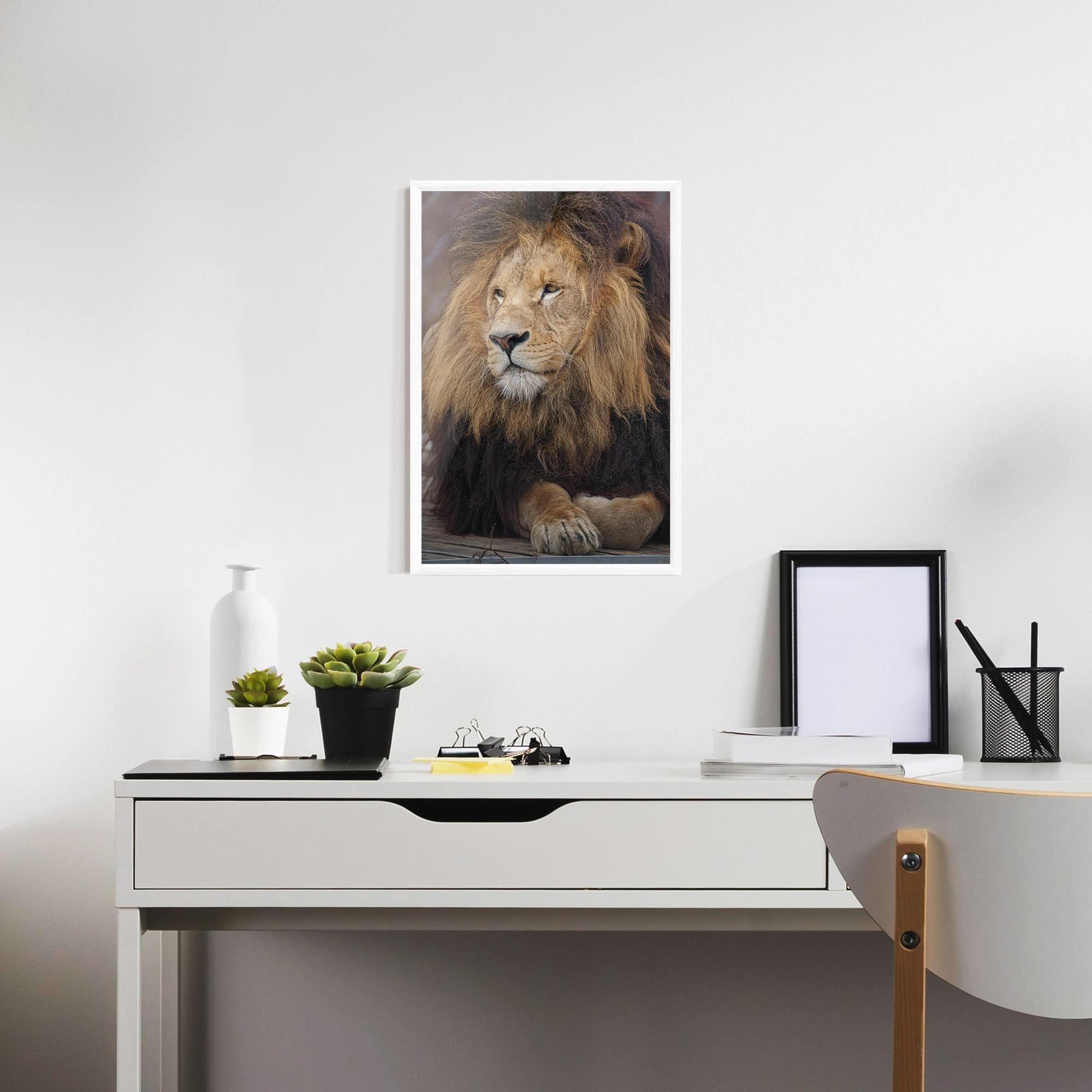 Plakat w Ramie Lion Chilling mockup 7