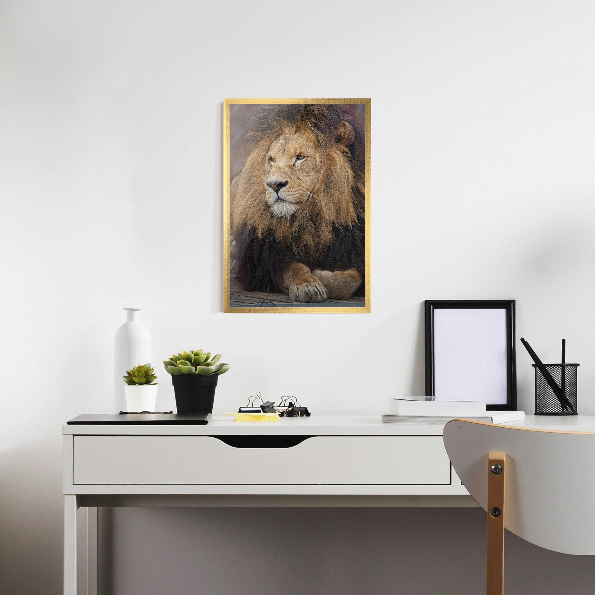 Plakat w Ramie Lion Chilling mockup 7