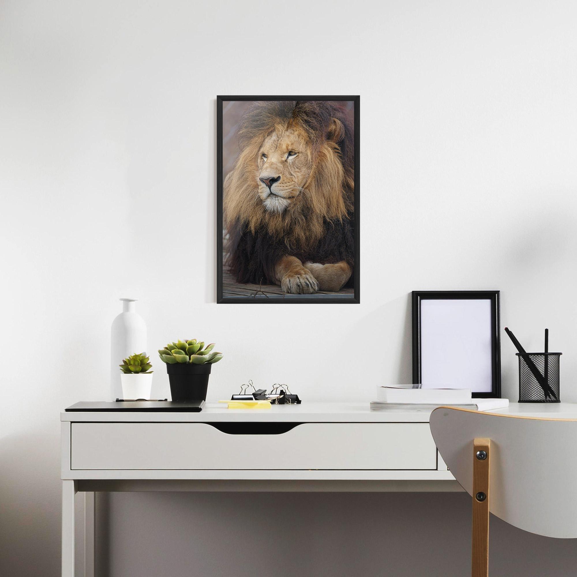Plakat w Ramie Lion Chilling mockup 7