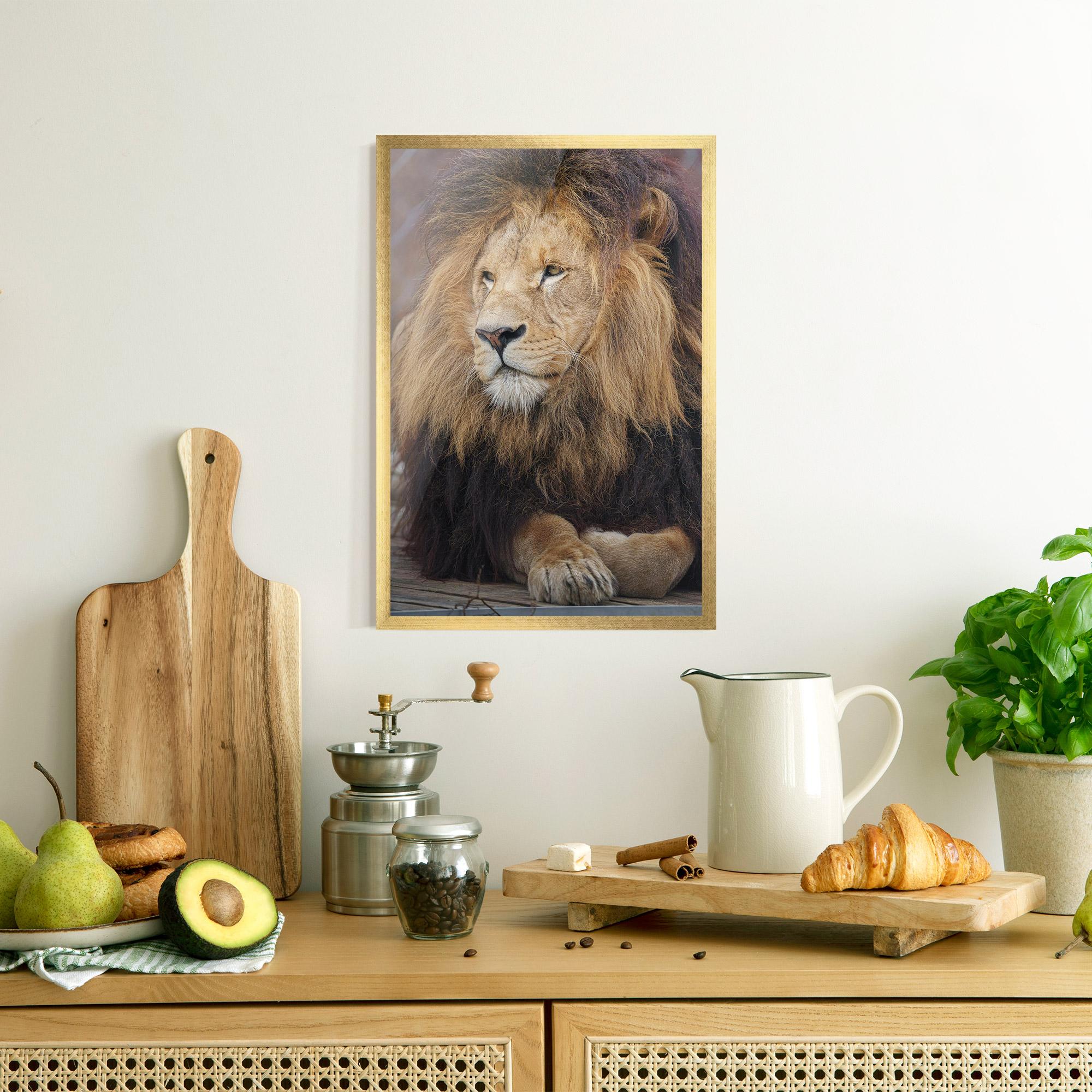 Plakat w Ramie Lion Chilling mockup 8