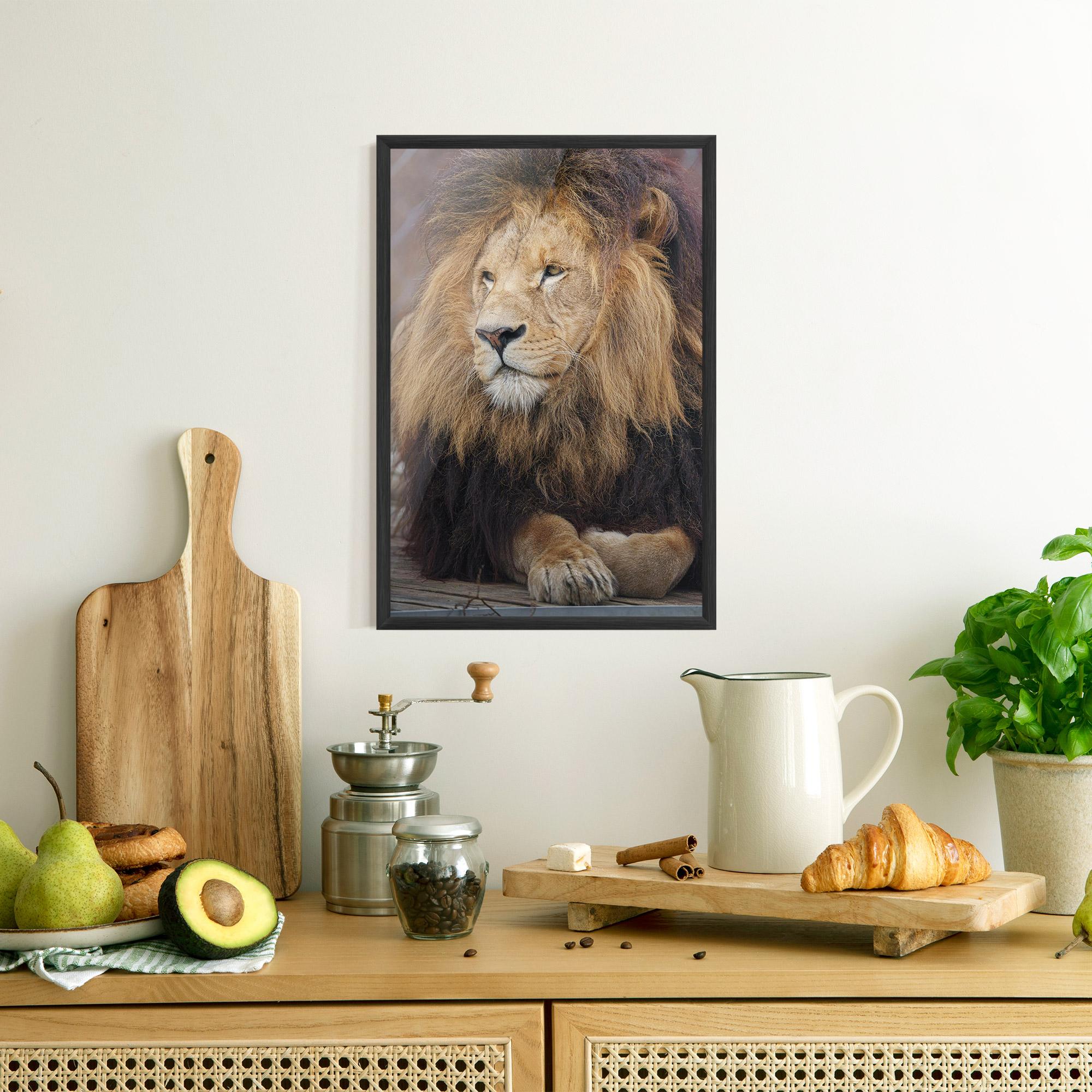 Plakat w Ramie Lion Chilling mockup 8