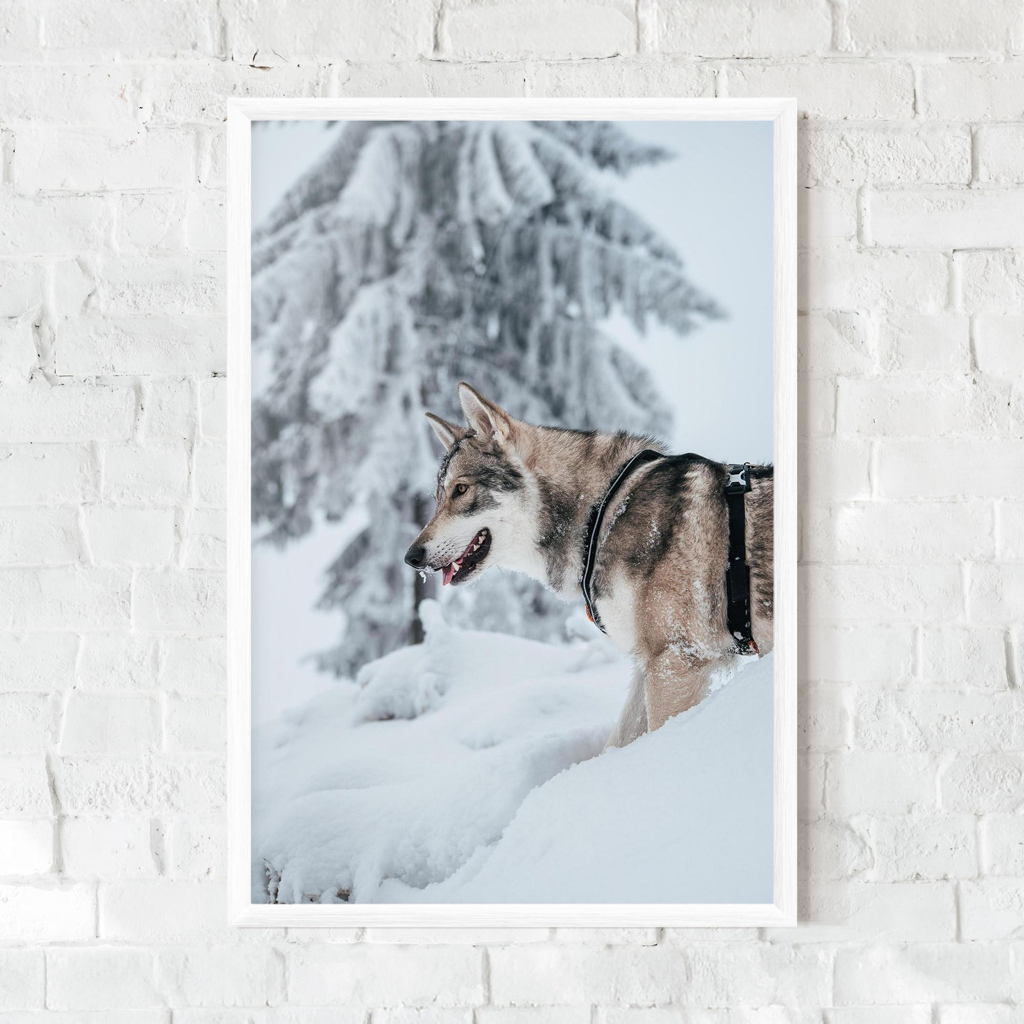 Plakat w Ramie Snow Wolf mockup 0