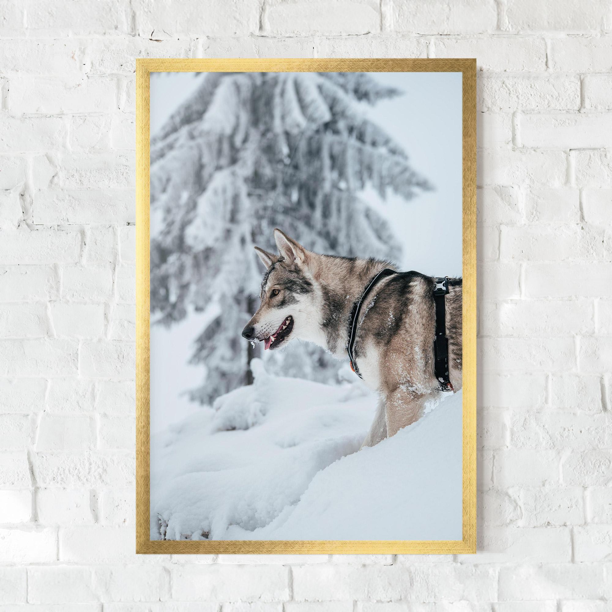 Plakat w Ramie Snow Wolf mockup 0