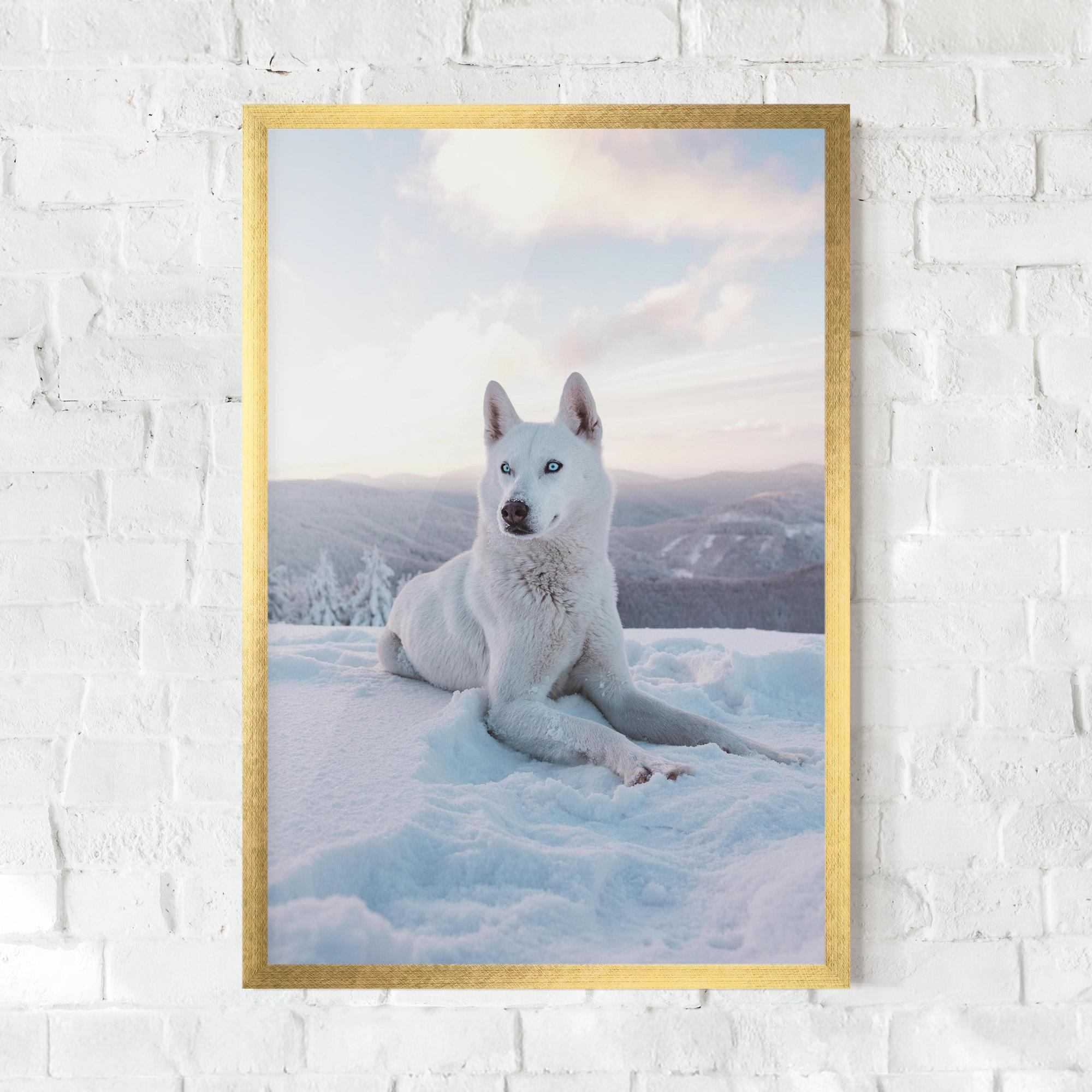 Plakat w Ramie White Snow Wolf mockup 0