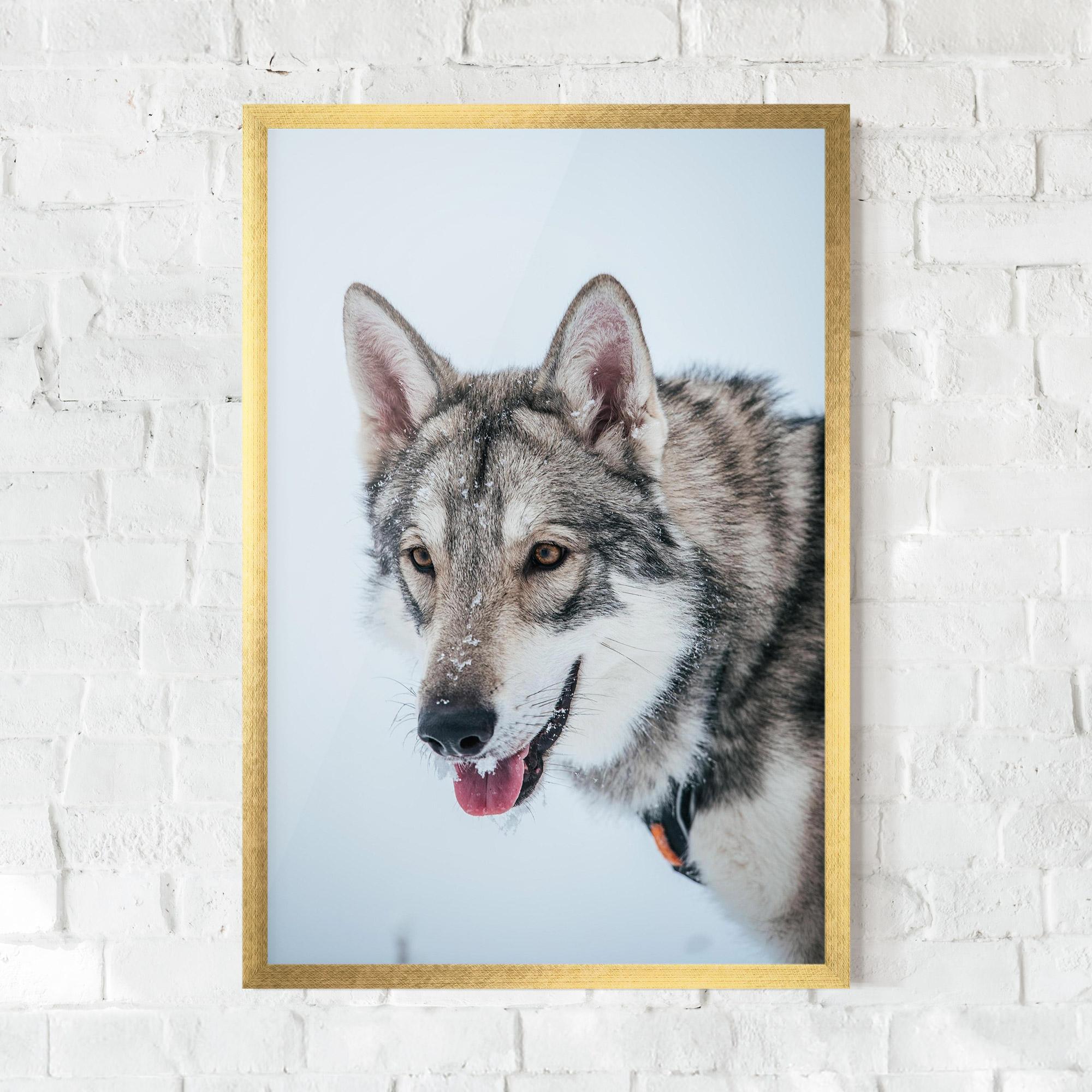 Plakat w Ramie Wolf Head mockup 0