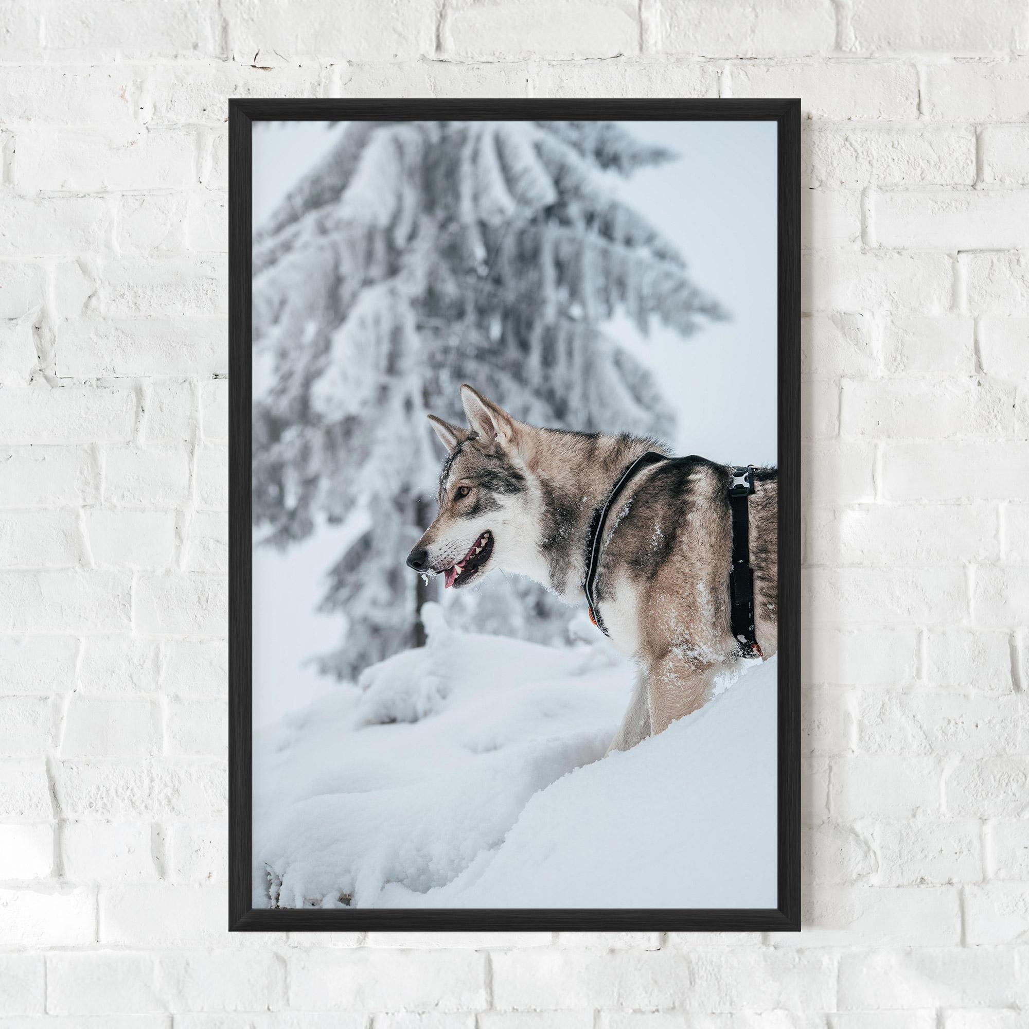Plakat w Ramie Snow Wolf mockup 0