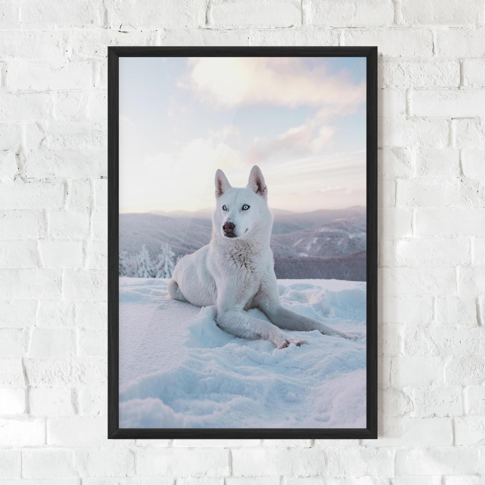 Plakat w Ramie White Snow Wolf mockup 0