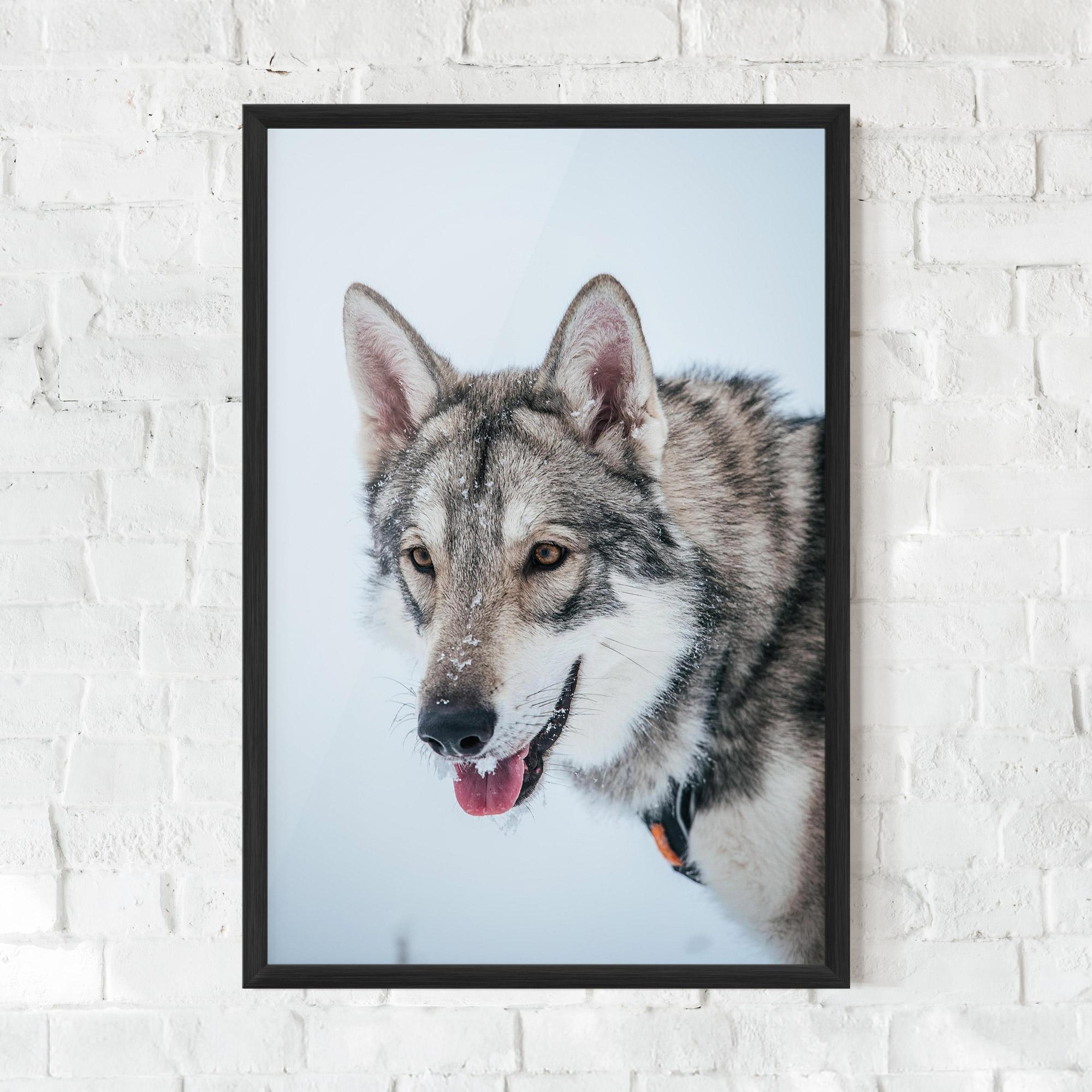 Plakat w Ramie Wolf Head mockup 0