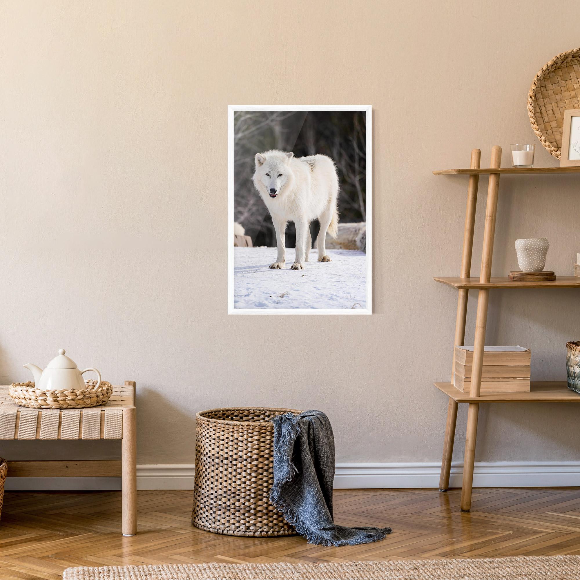 Plakat w Ramie Beautiful White Wolf mockup 9