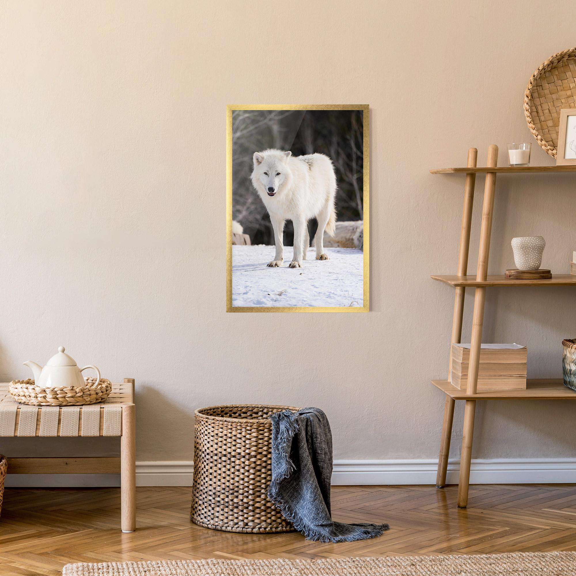 Plakat w Ramie Beautiful White Wolf mockup 9