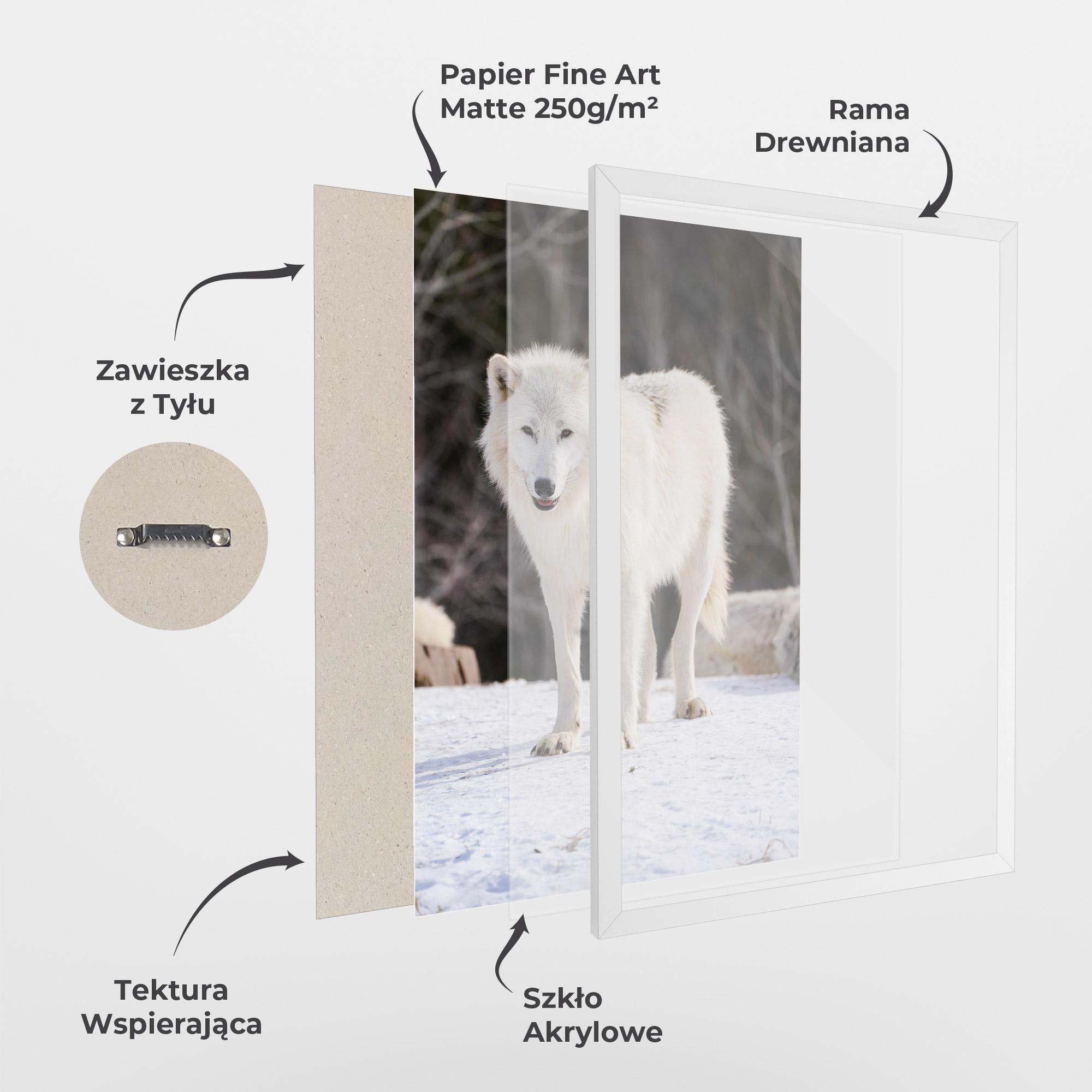 Plakat w Ramie Beautiful White Wolf mockup 1