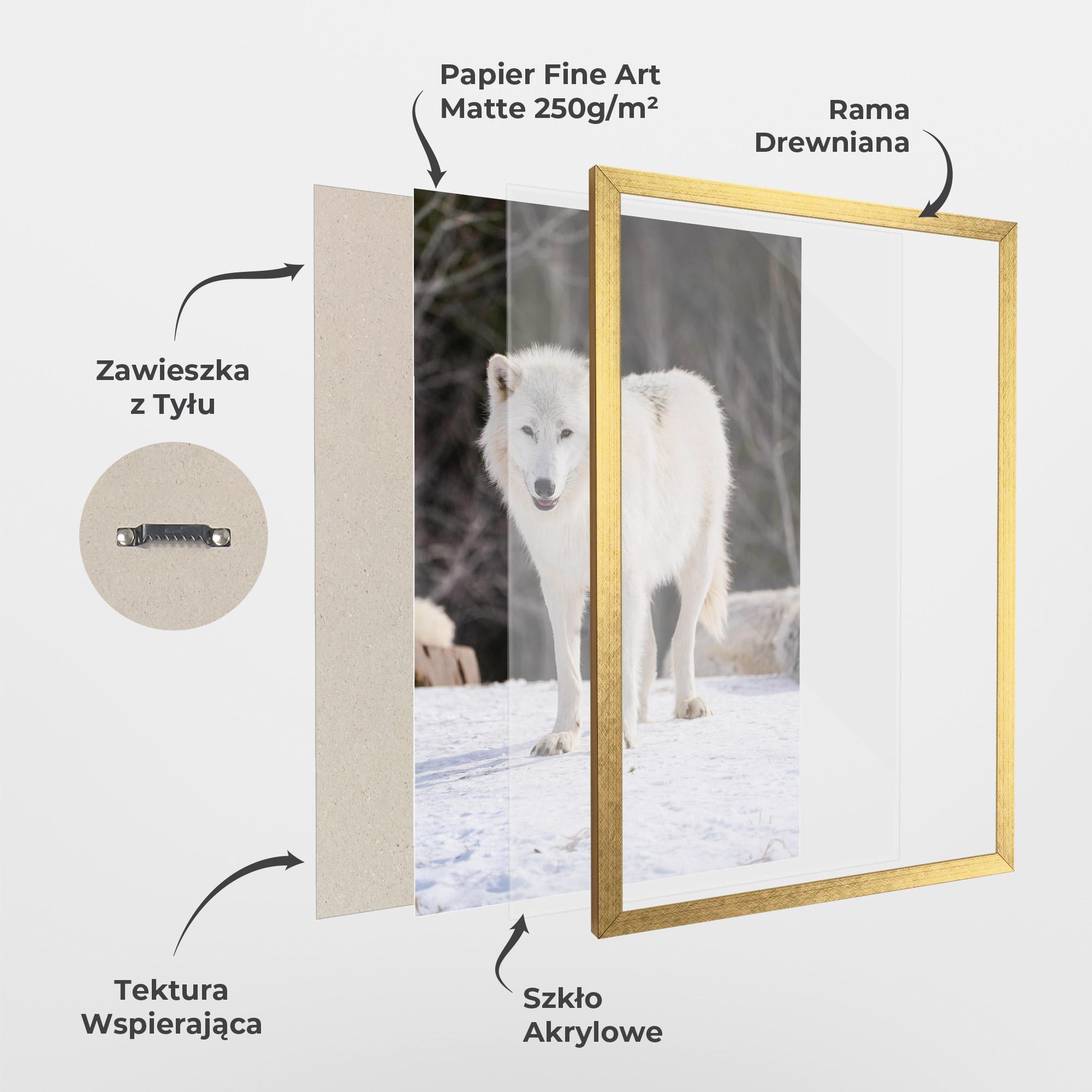 Plakat w Ramie Beautiful White Wolf mockup 1
