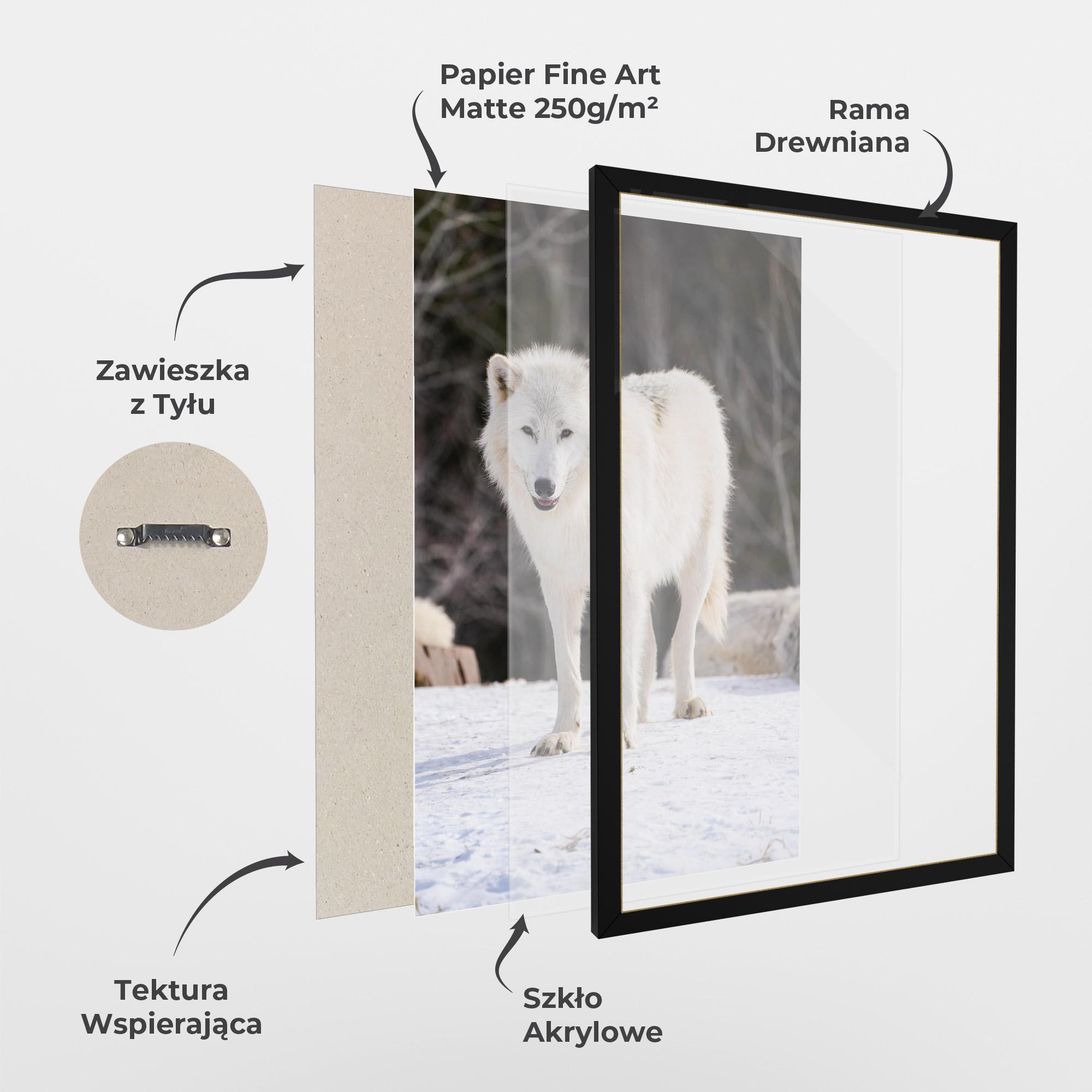 Plakat w Ramie Beautiful White Wolf mockup 1