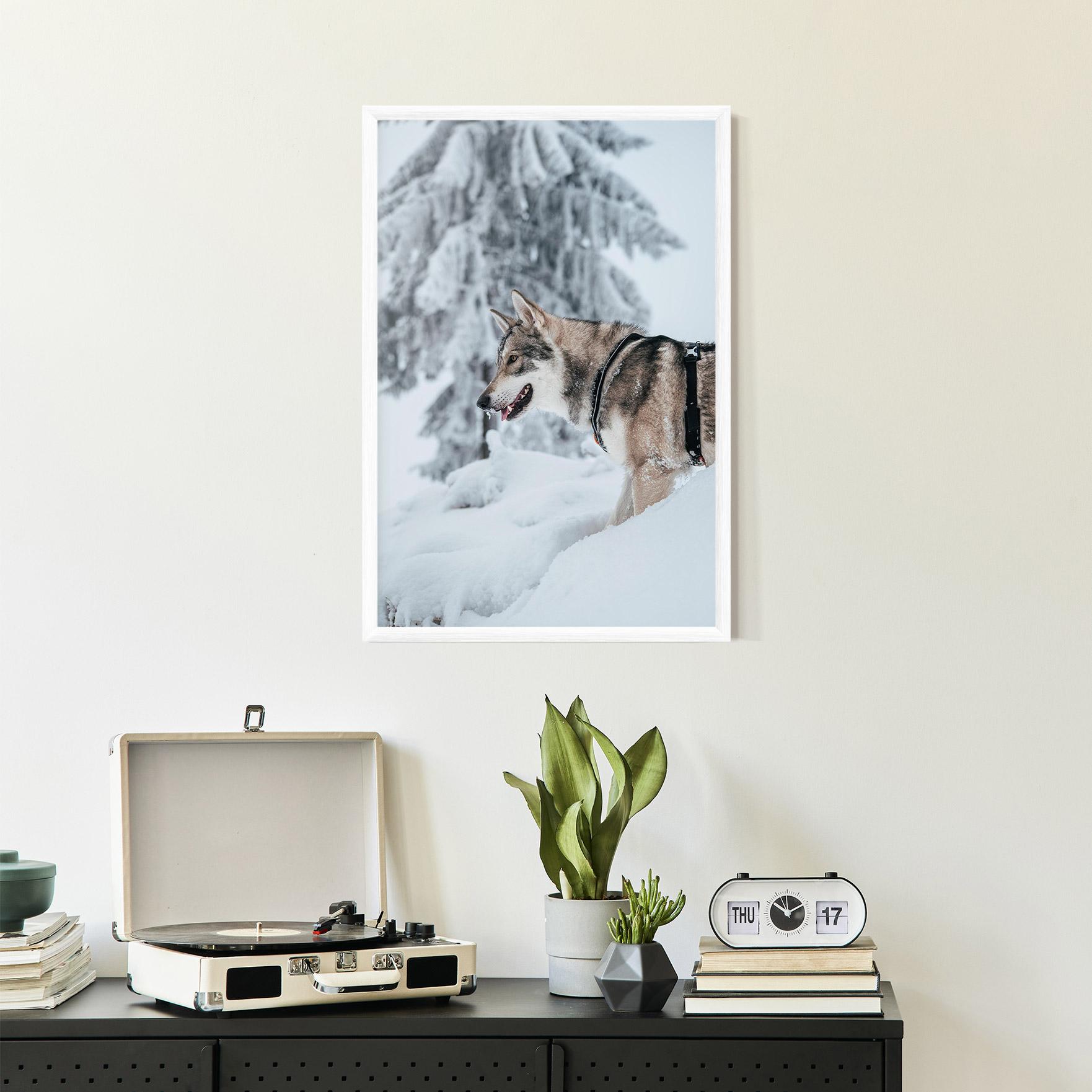 Plakat w Ramie Snow Wolf mockup 2